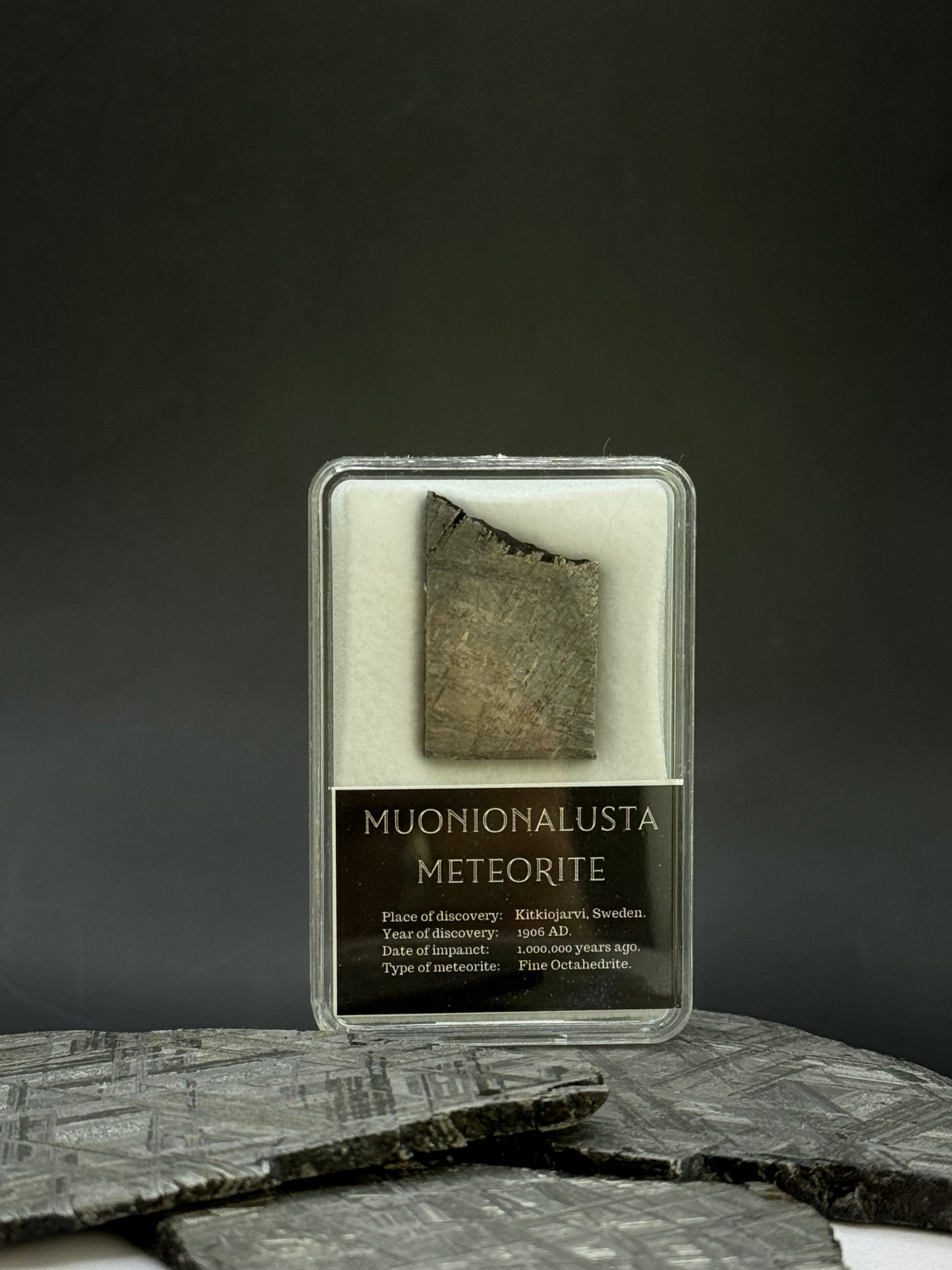 Muonionalusta meteorite in display box. 10,11 grams.