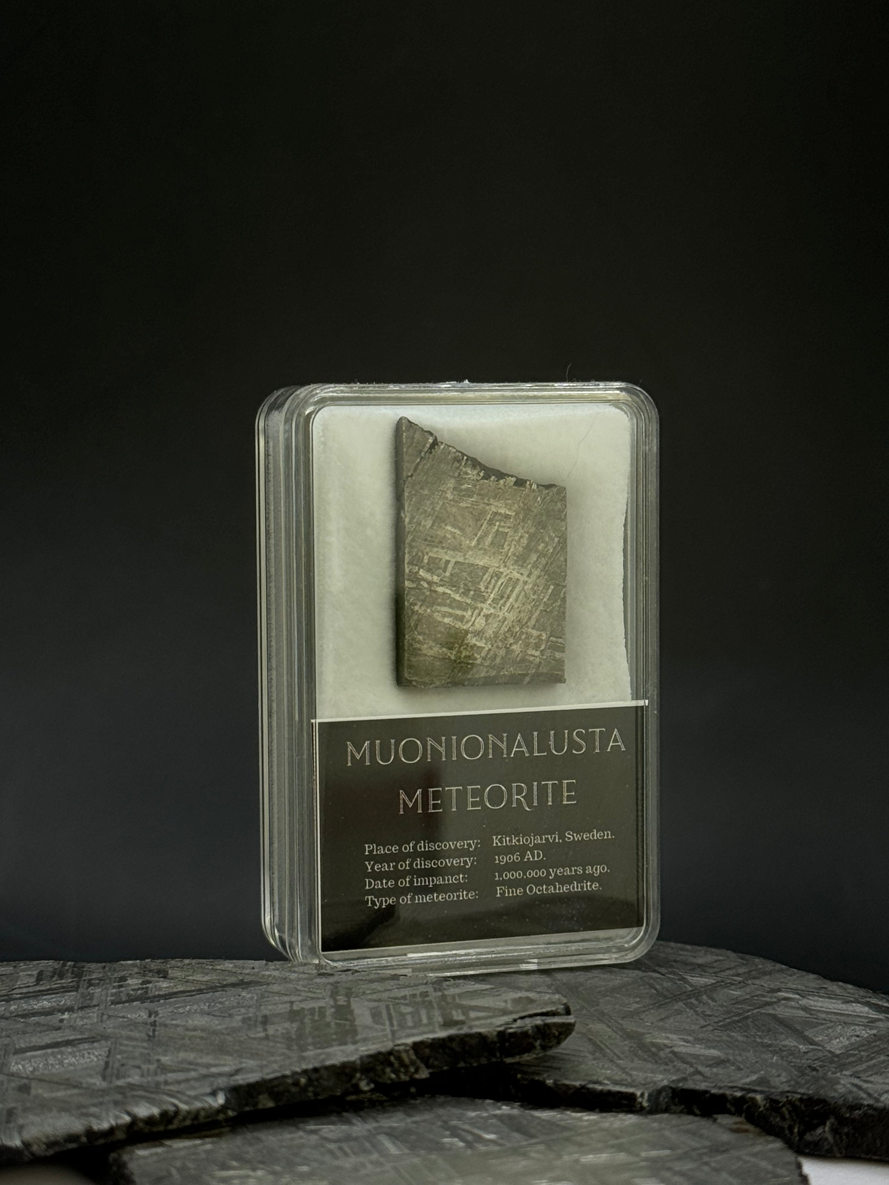 Muonionalusta meteorite in display box. 10,11 grams.