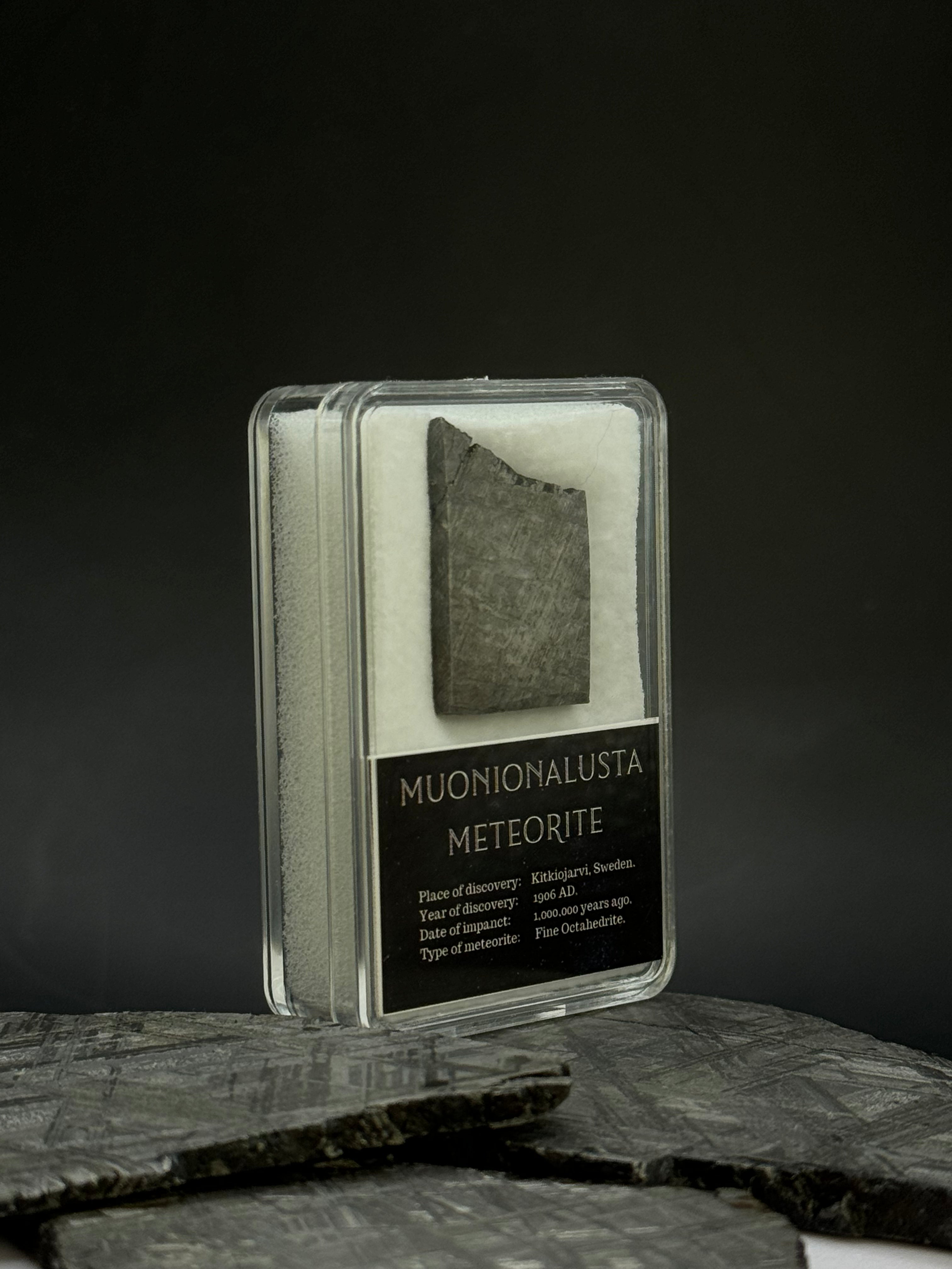 Muonionalusta meteorite in display box. 10,11 grams.