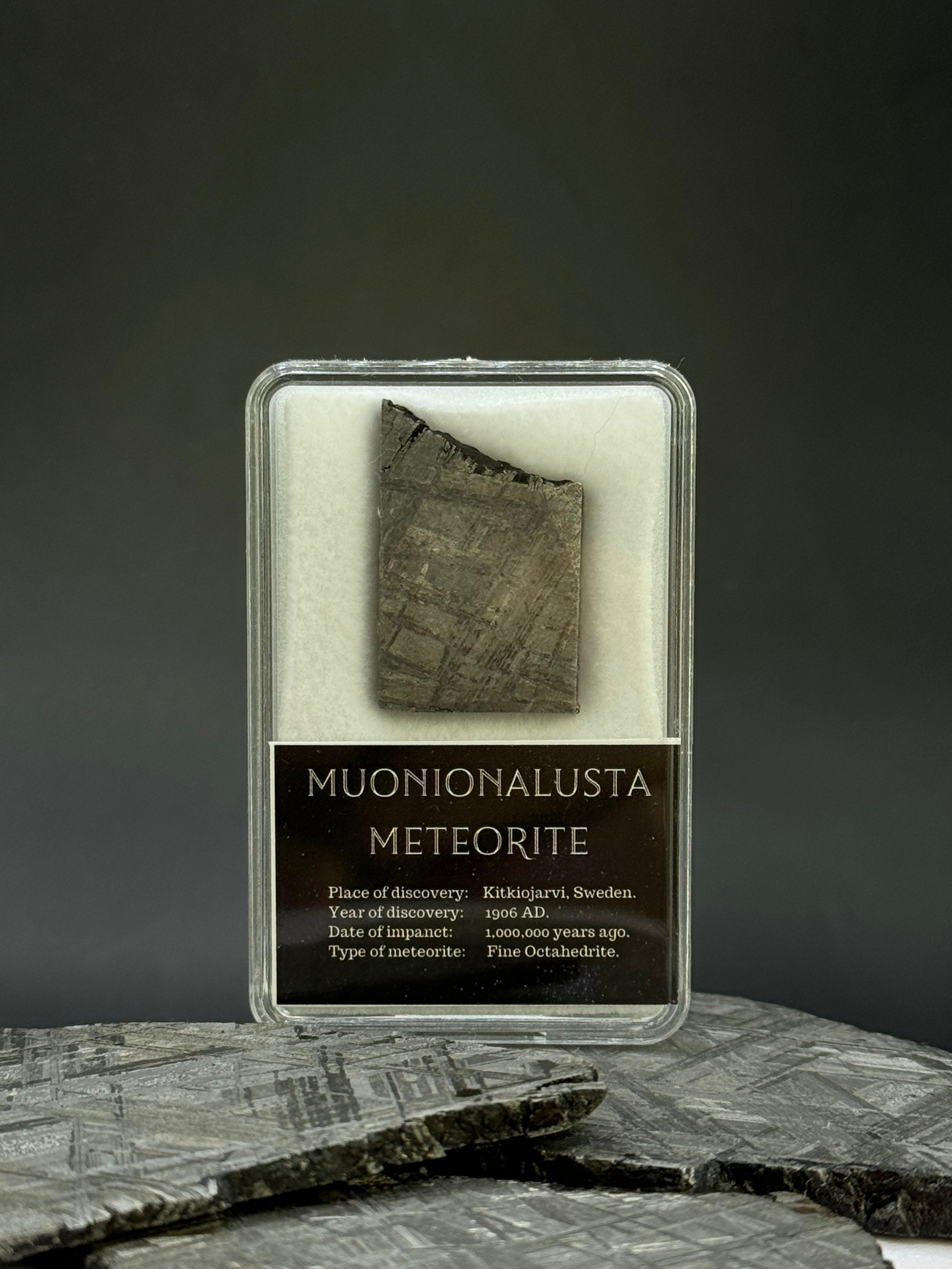 Muonionalusta meteorite in display box. 10,11 grams.