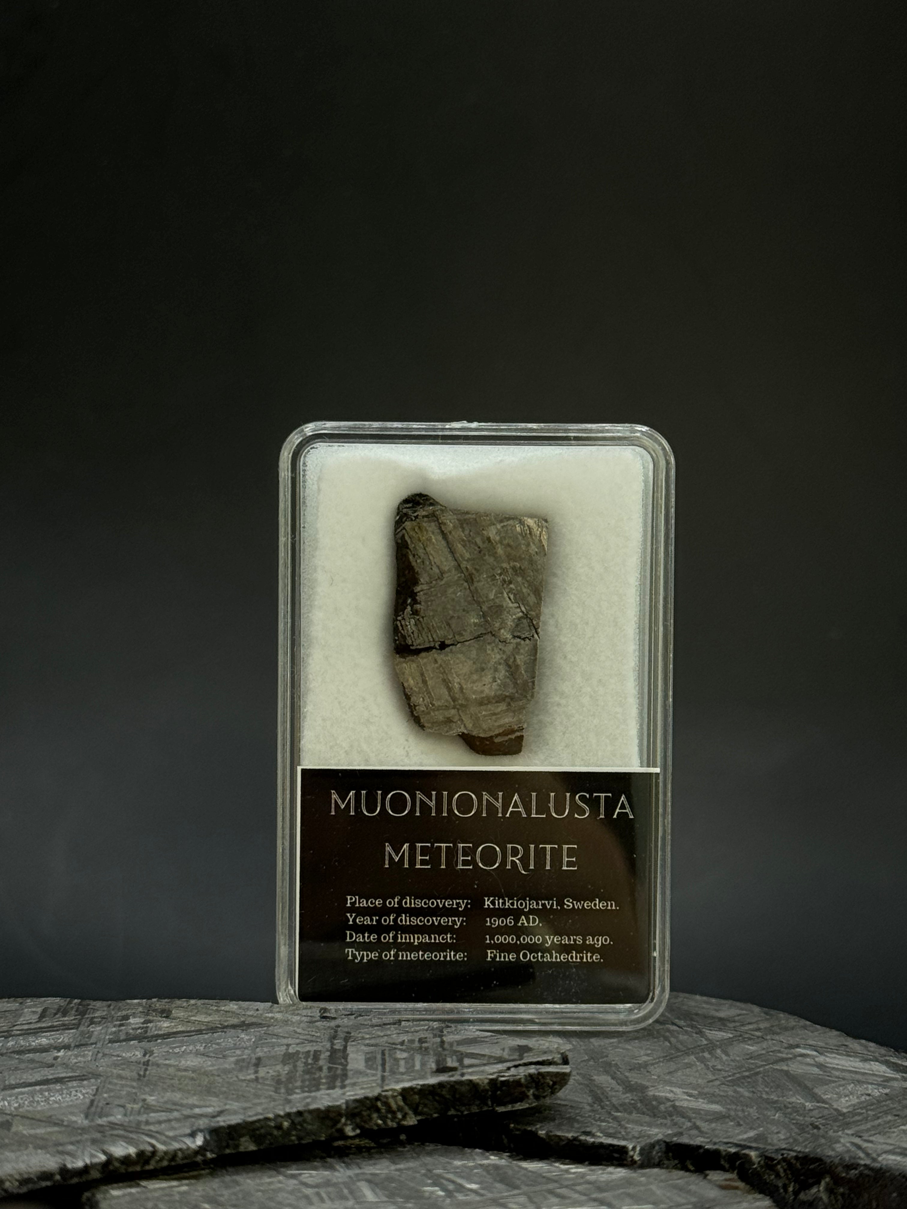 Muonionalusta meteorite in display box. 8,19 grams.