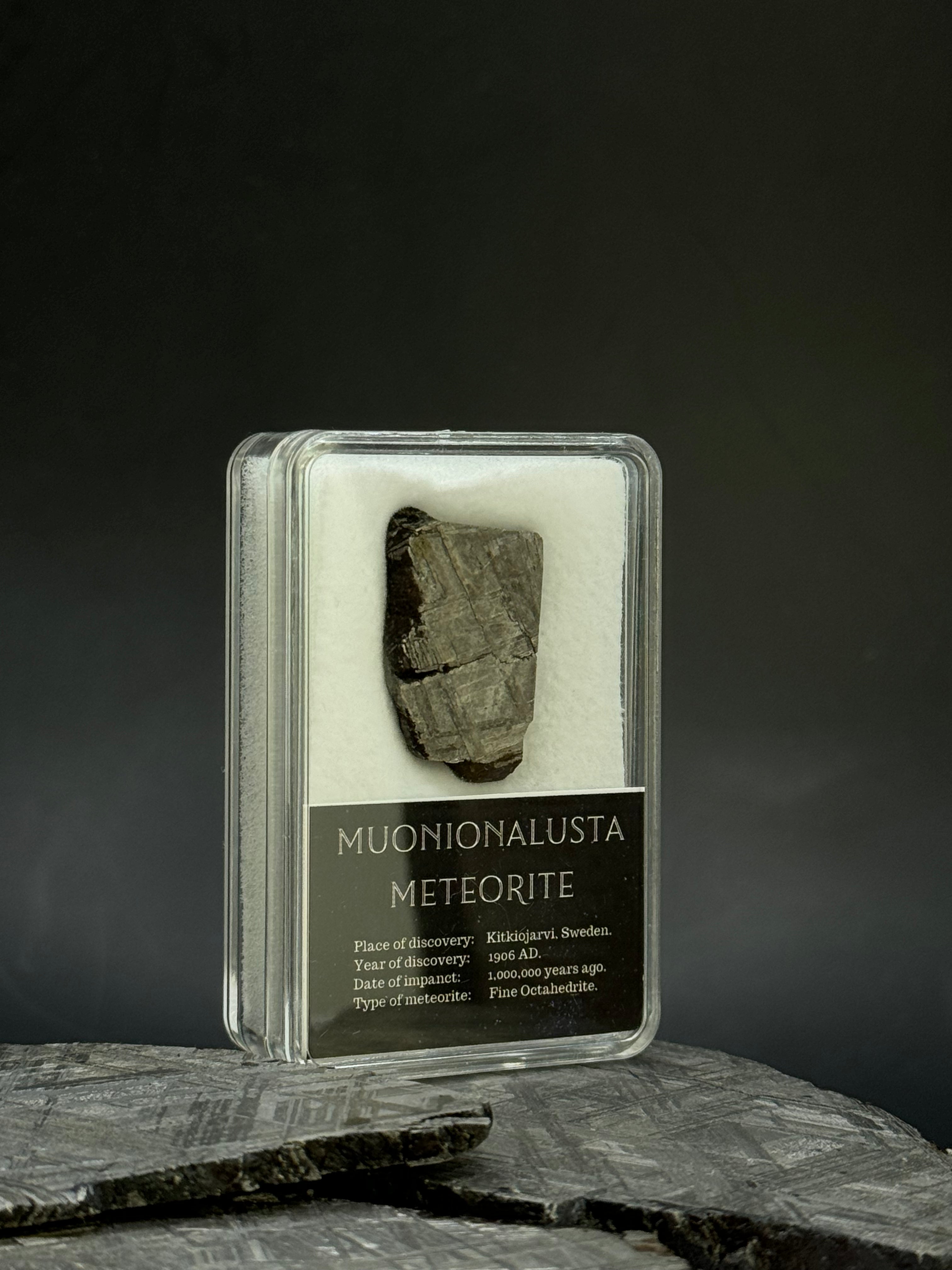 Muonionalusta meteorite in display box. 8,19 grams.