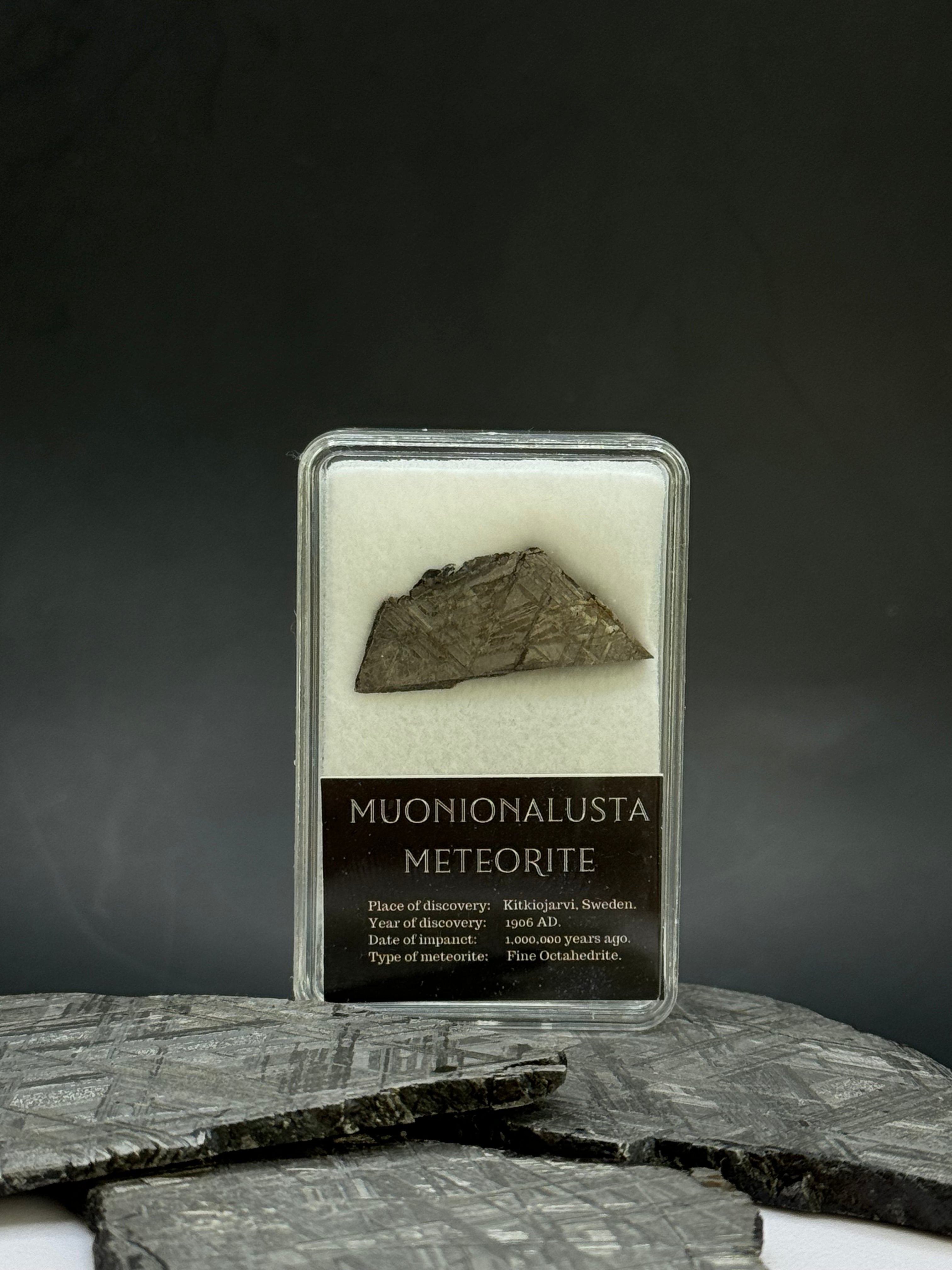 Muonionalusta meteorite in display box. 5 grams.