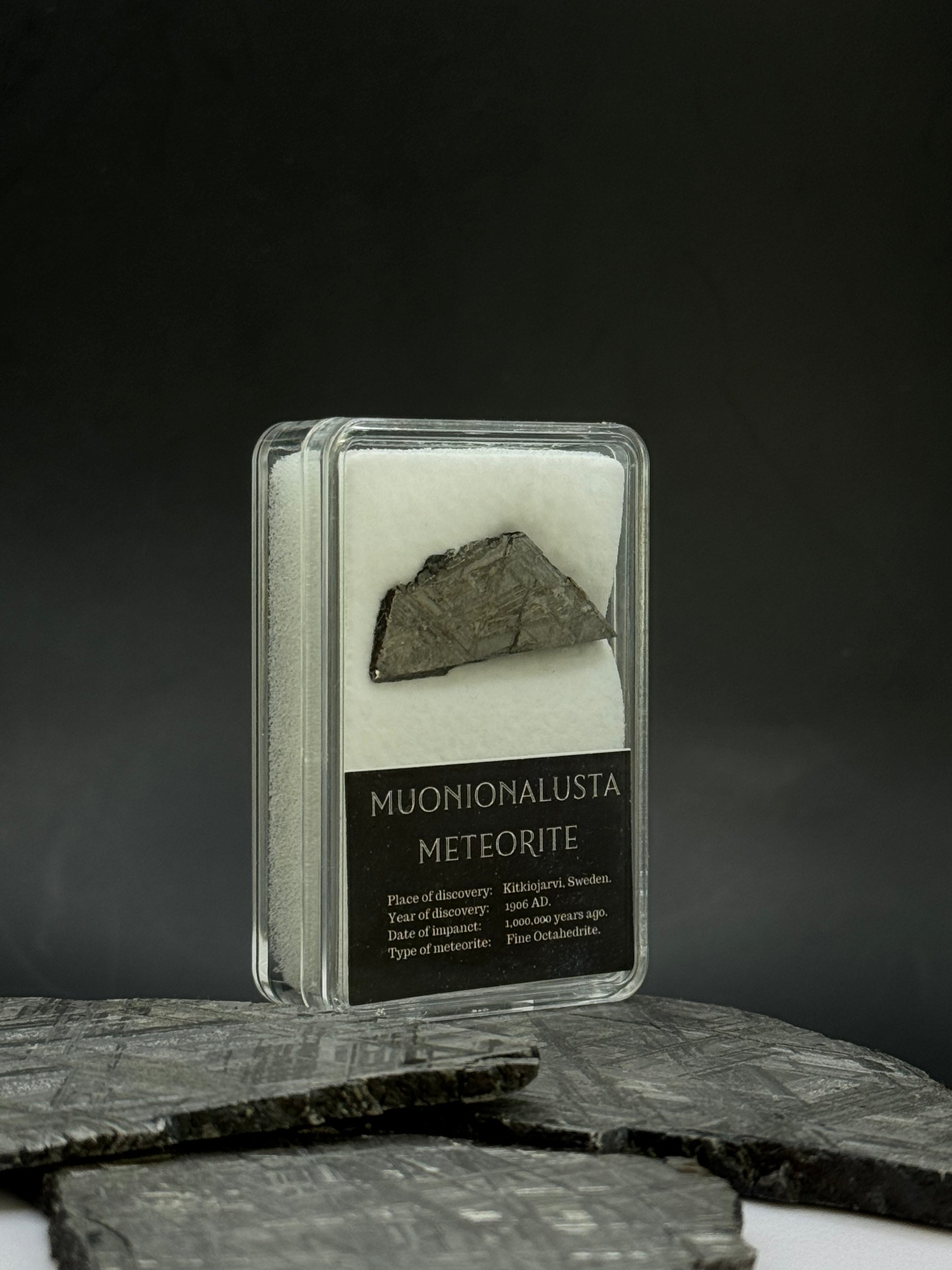 Muonionalusta meteorite in display box. 5 grams.