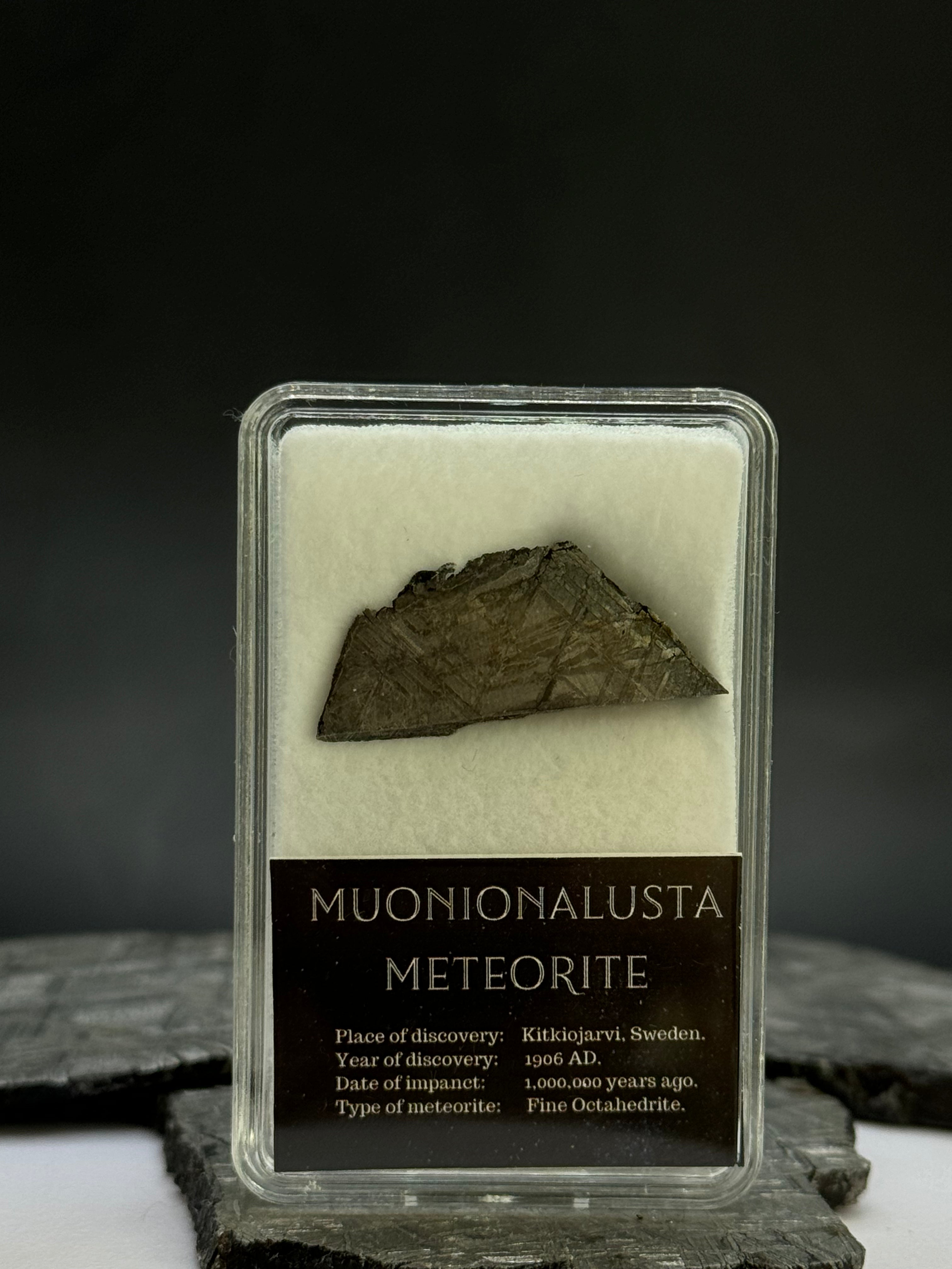Muonionalusta meteorite in display box. 5 grams.