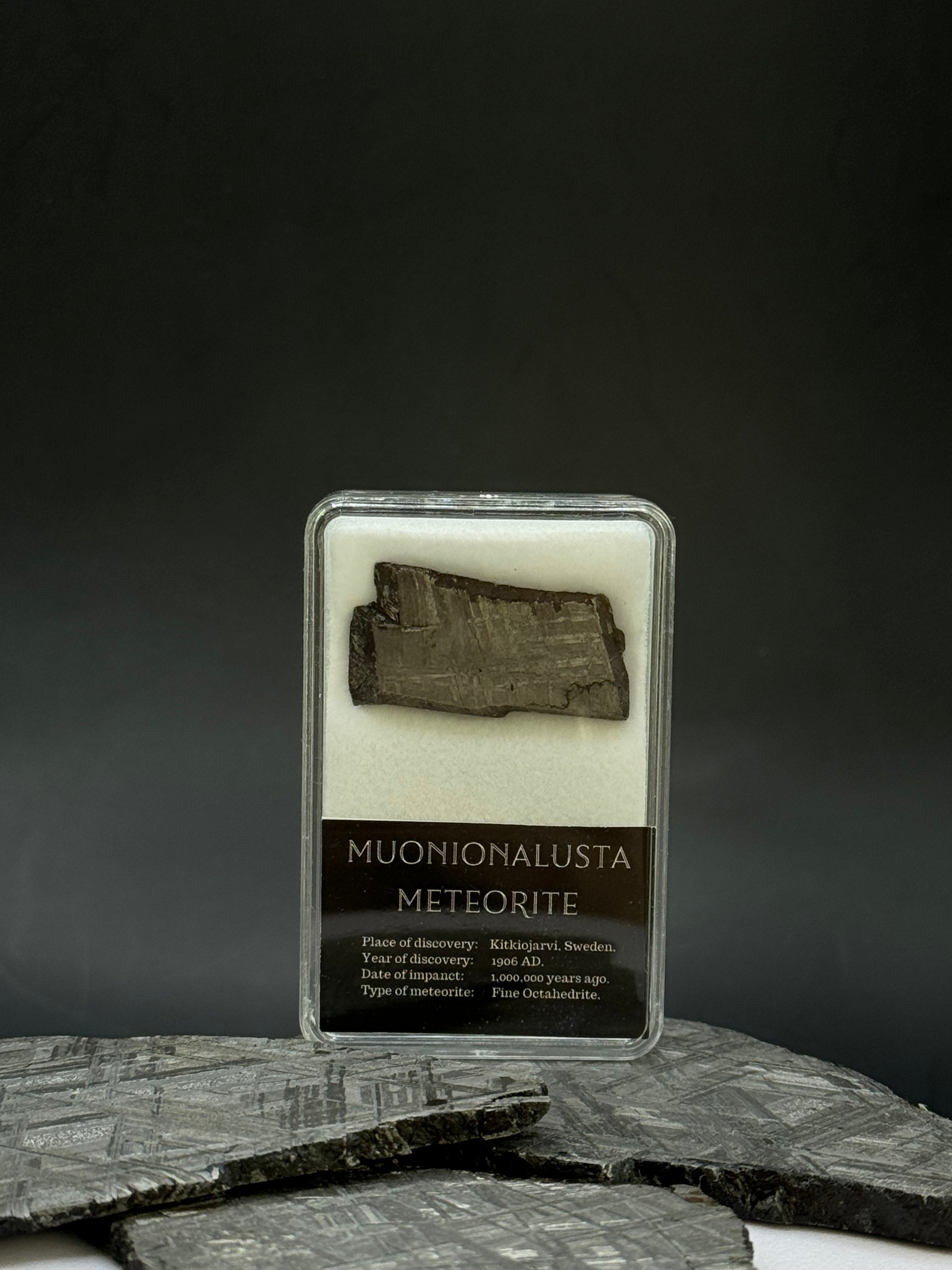 Muonionalusta meteorite in display box. 8,53 grams.