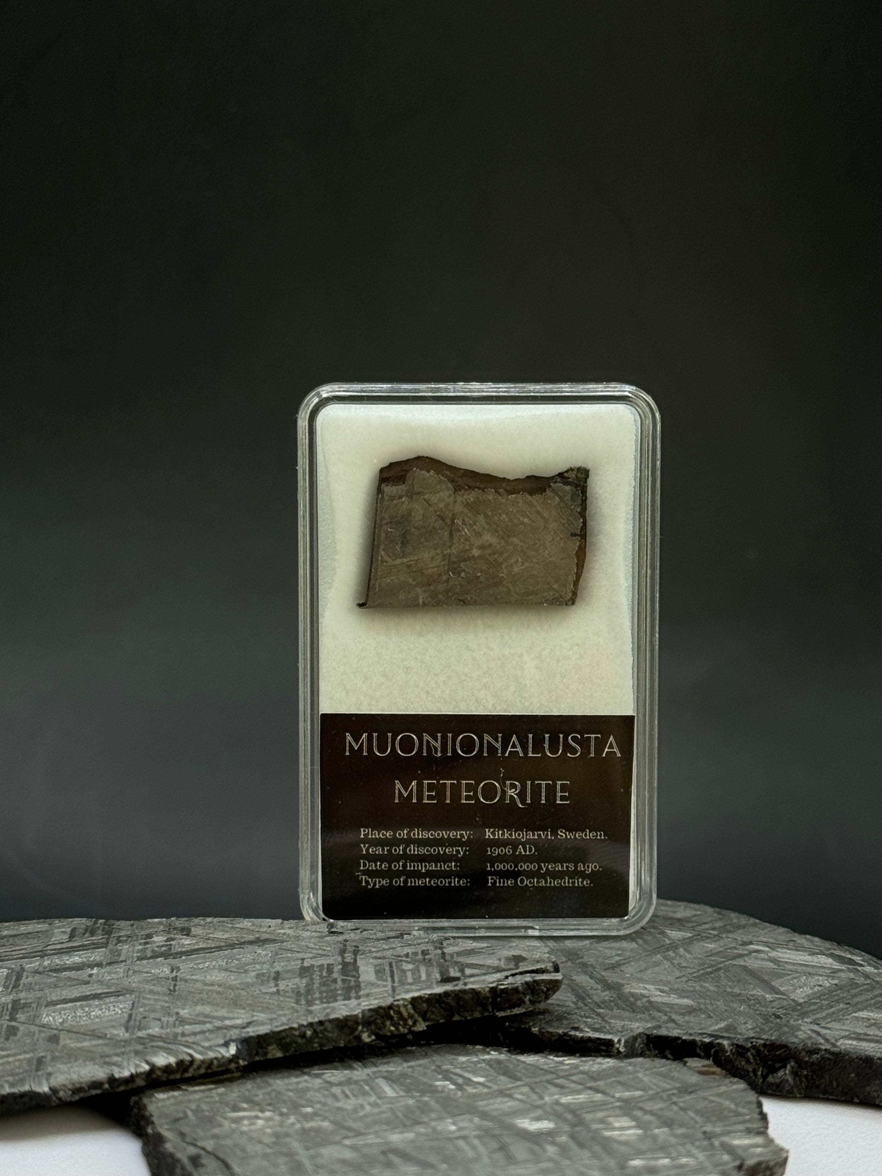 Muonionalusta meteorite in display box. 8,6 grams.