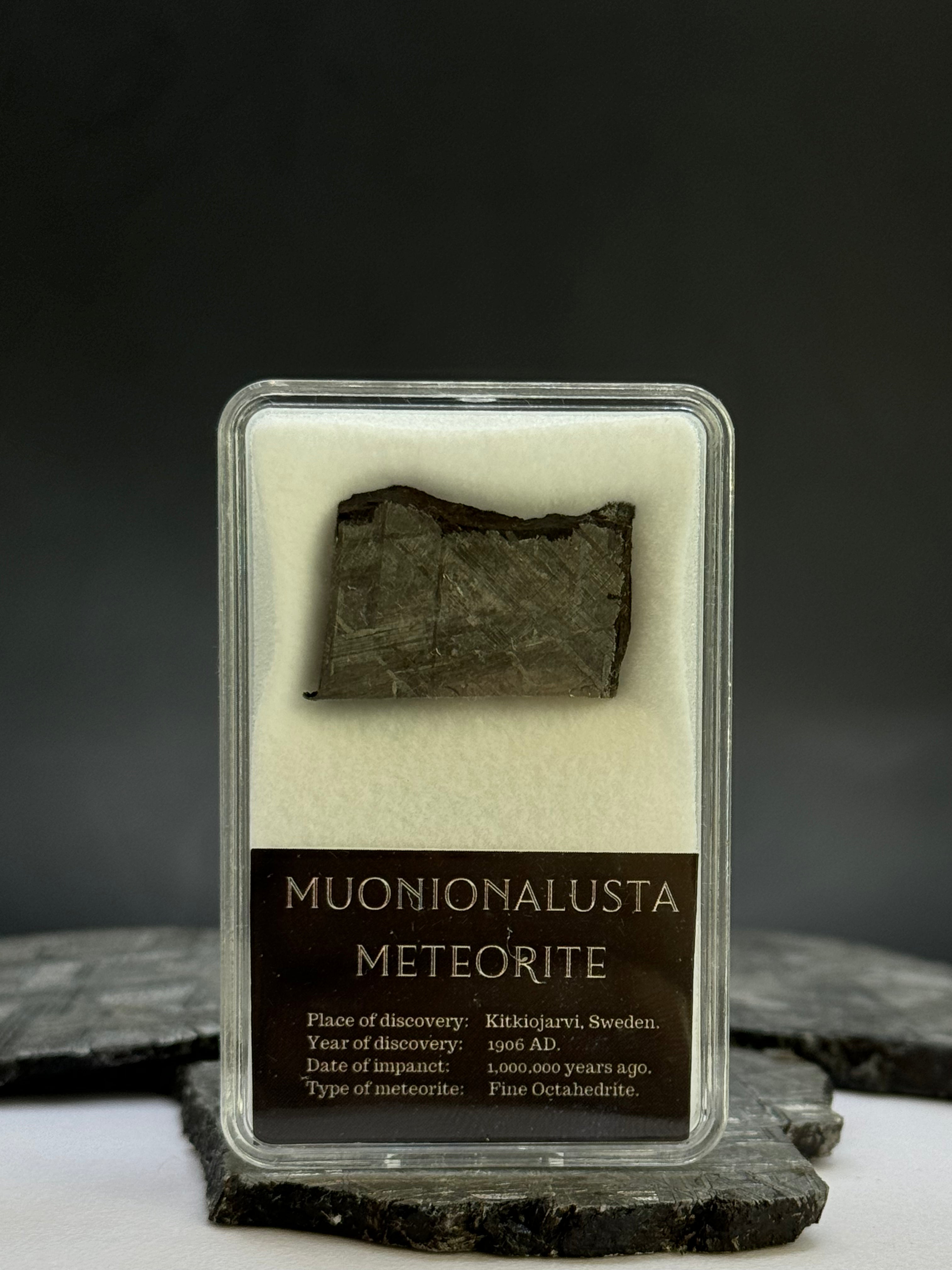 Muonionalusta meteorite in display box. 8,6 grams.