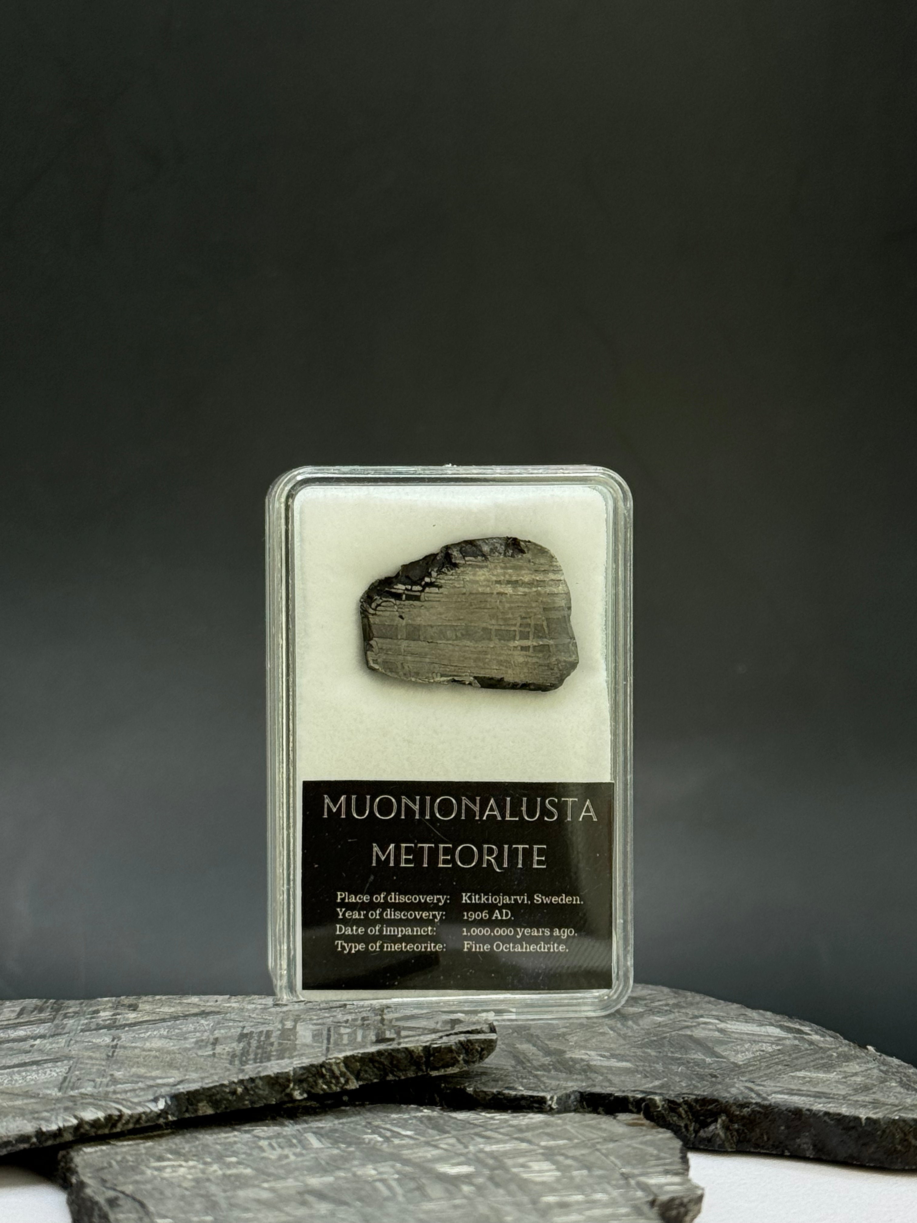 Muonionalusta meteorite in display box. 6,8 grams.