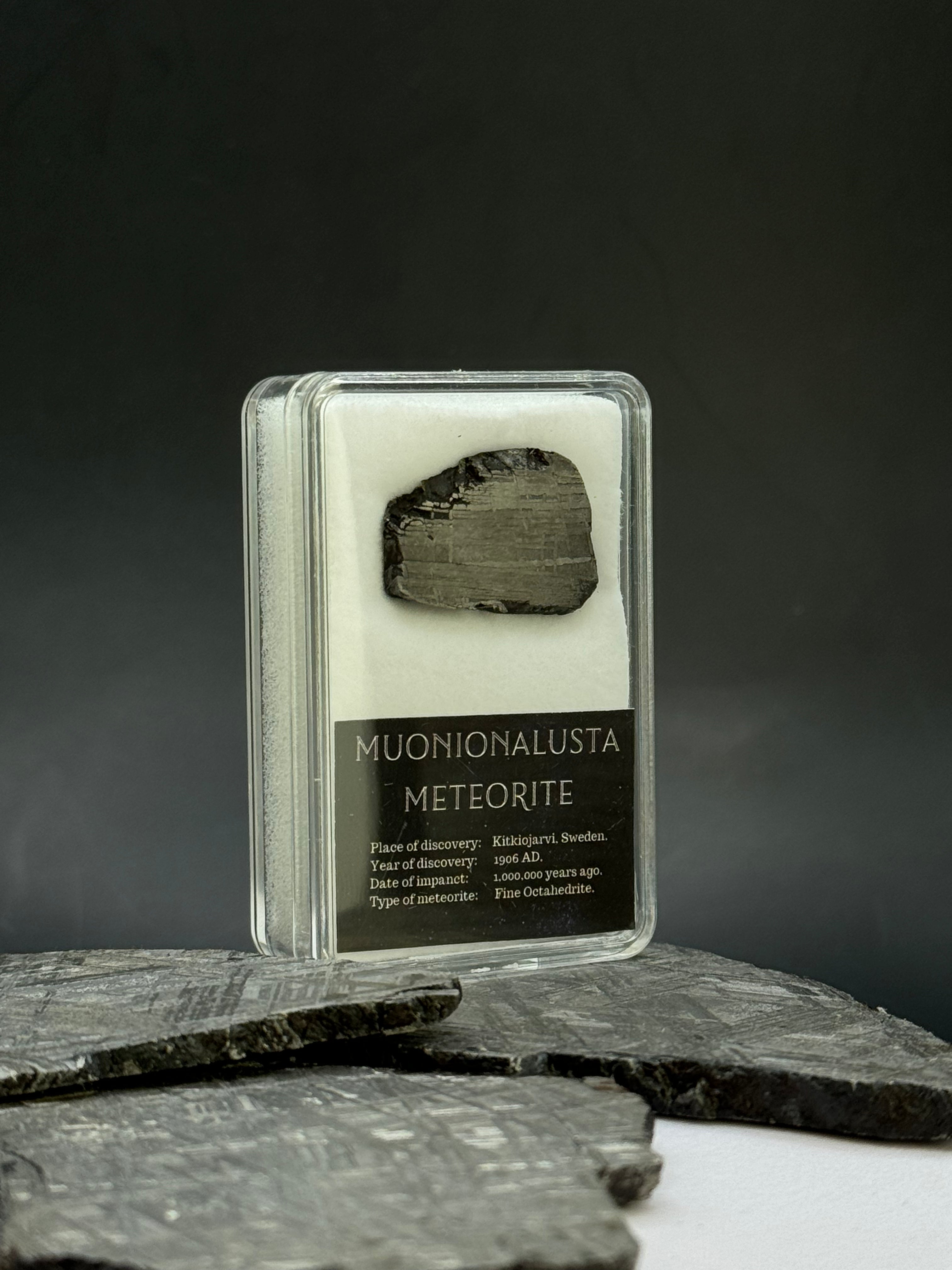 Muonionalusta meteorite in display box. 6,8 grams.