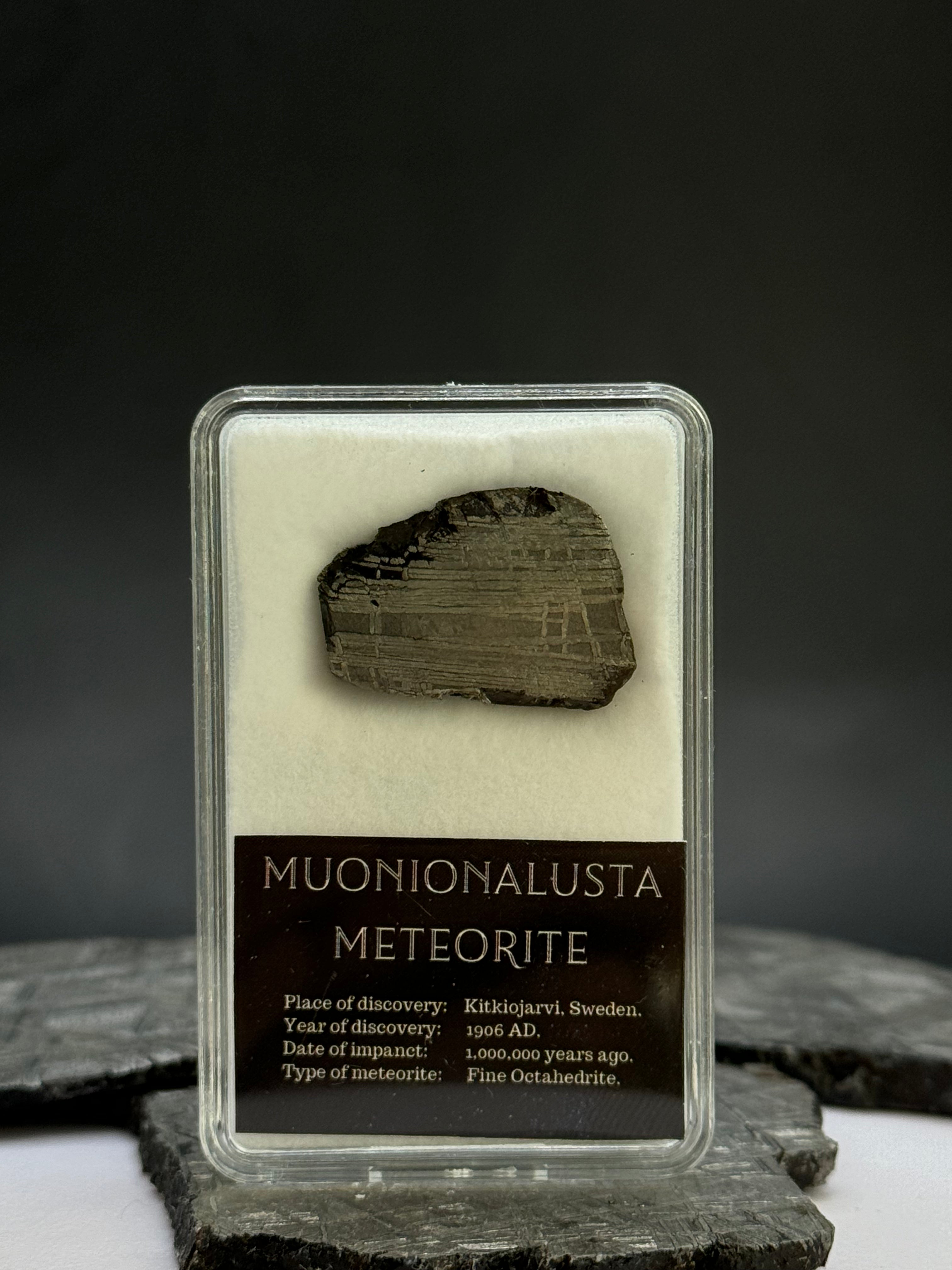 Muonionalusta meteorite in display box. 6,8 grams.