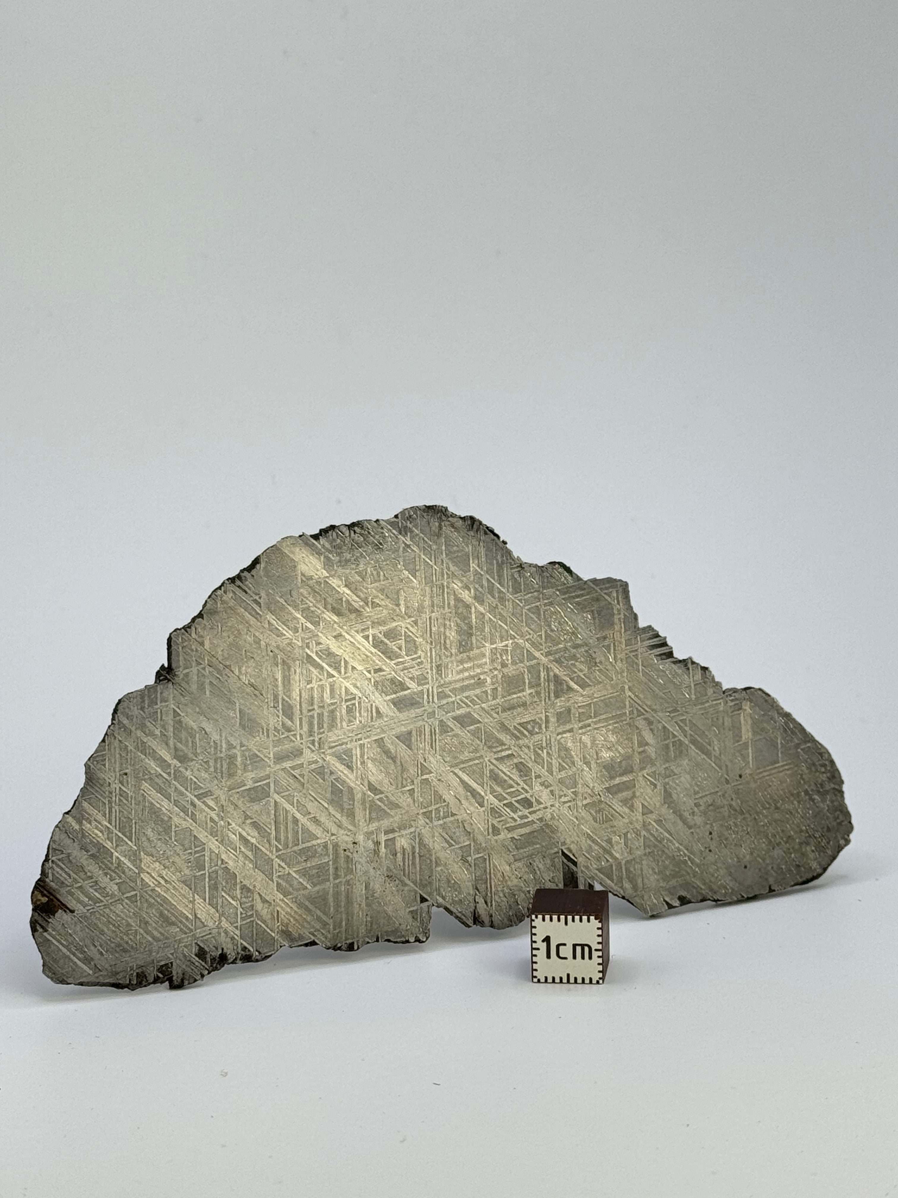 Muonionalusta meteorite, Sweden. 82,8 grams.