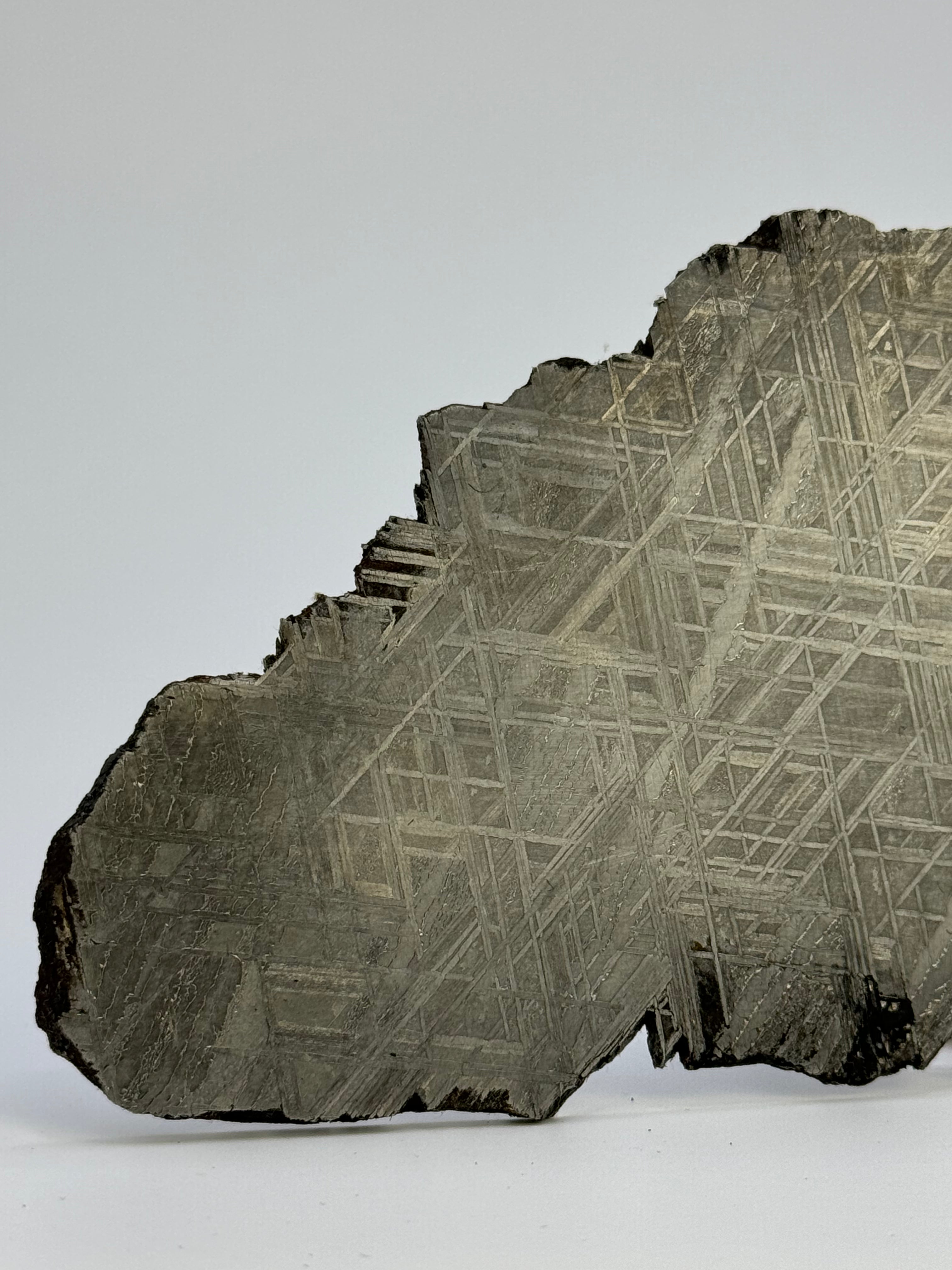 Muonionalusta meteorite, Sweden. 82,8 grams.