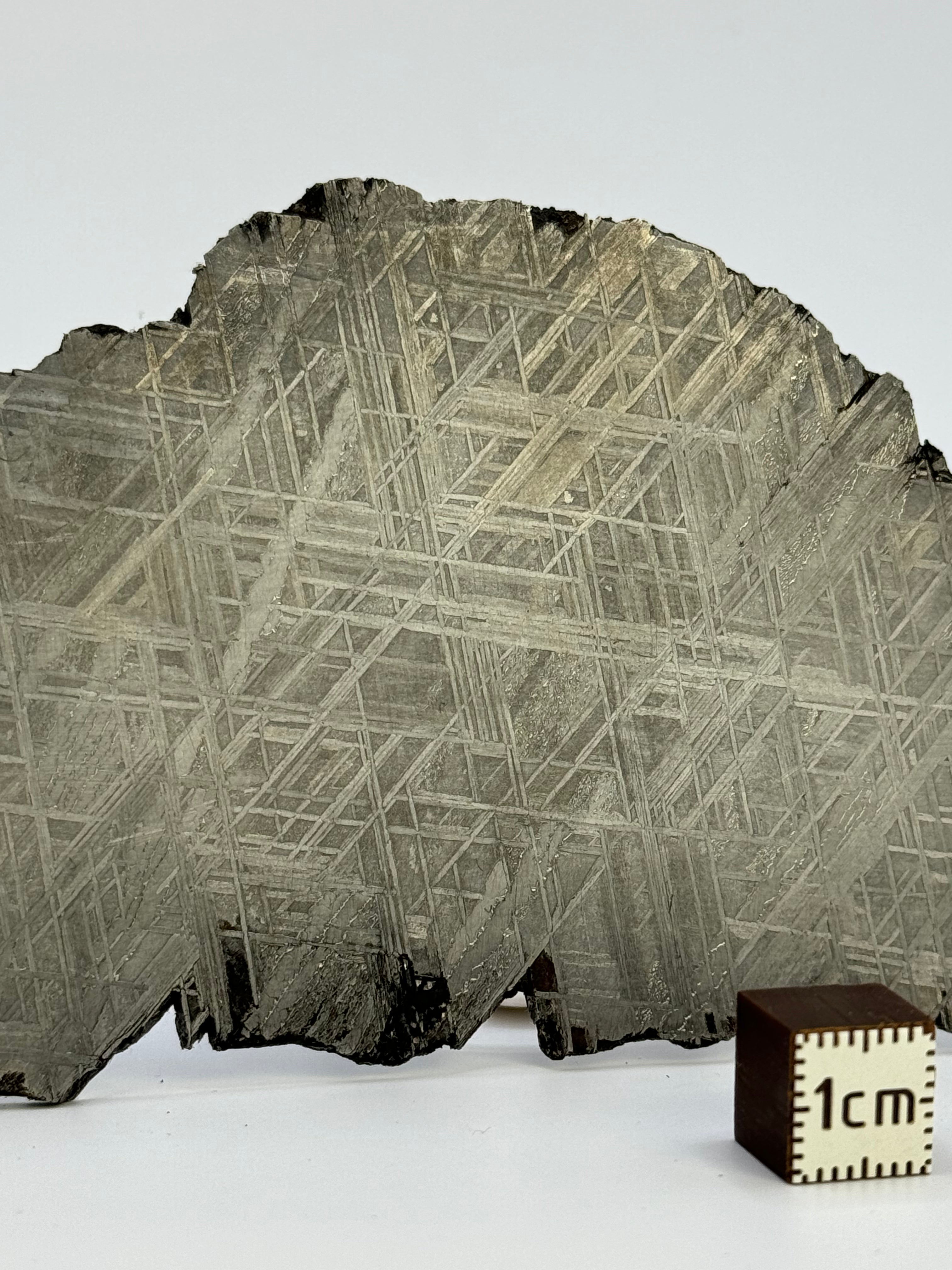 Muonionalusta meteorite, Sweden. 82,8 grams.