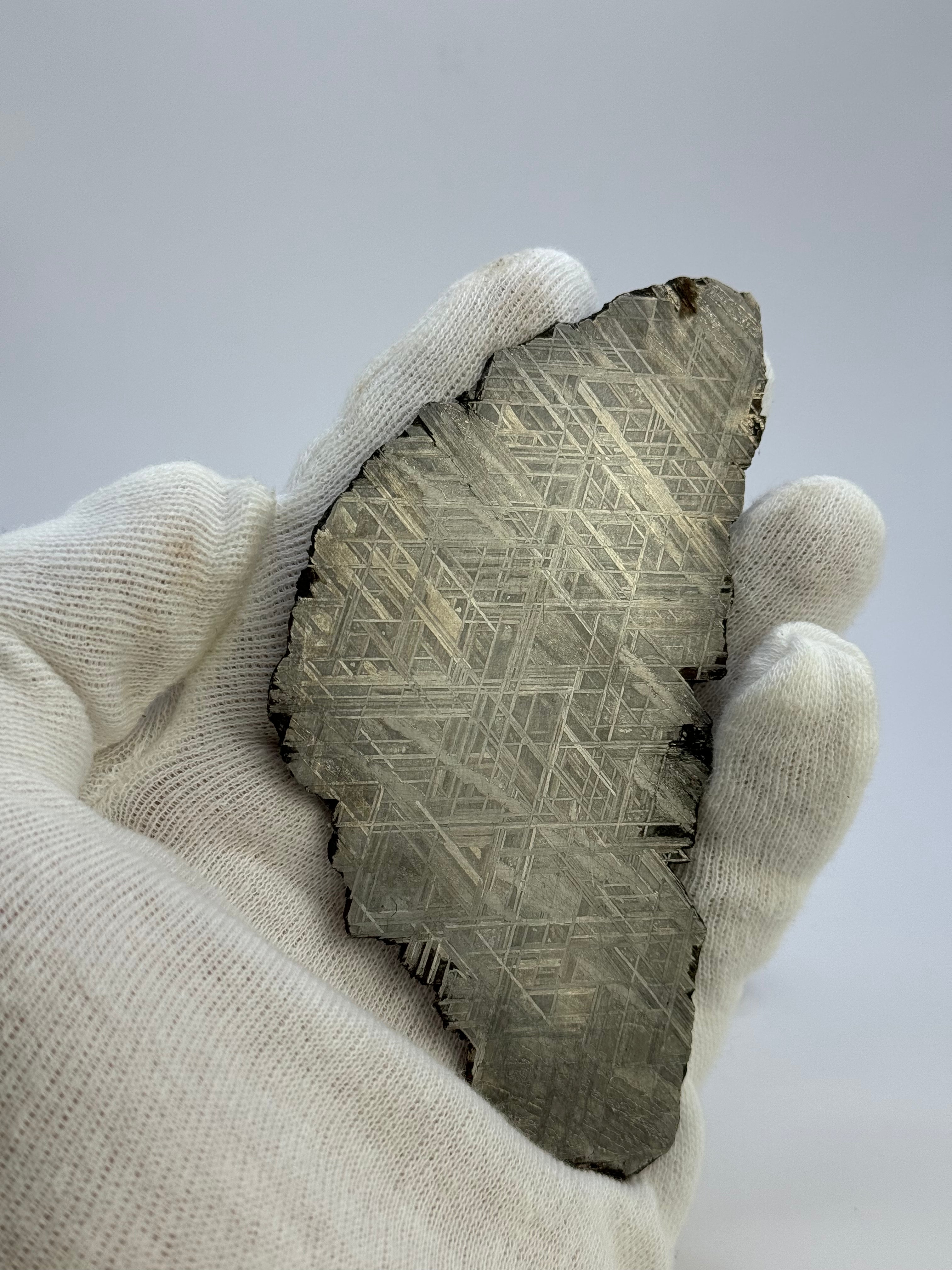 Muonionalusta meteorite, Sweden. 82,8 grams.