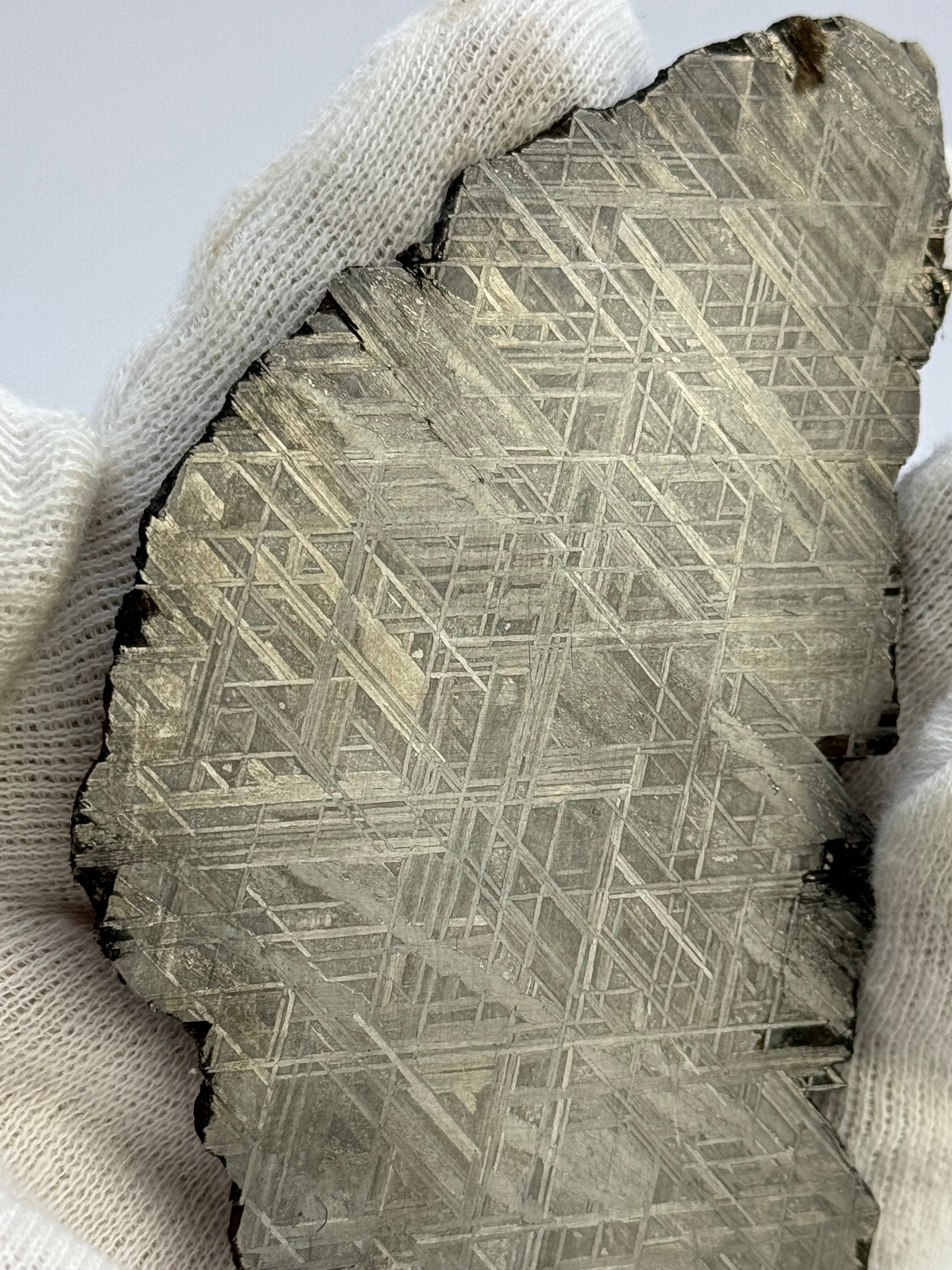 Muonionalusta meteorite, Sweden. 82,8 grams.