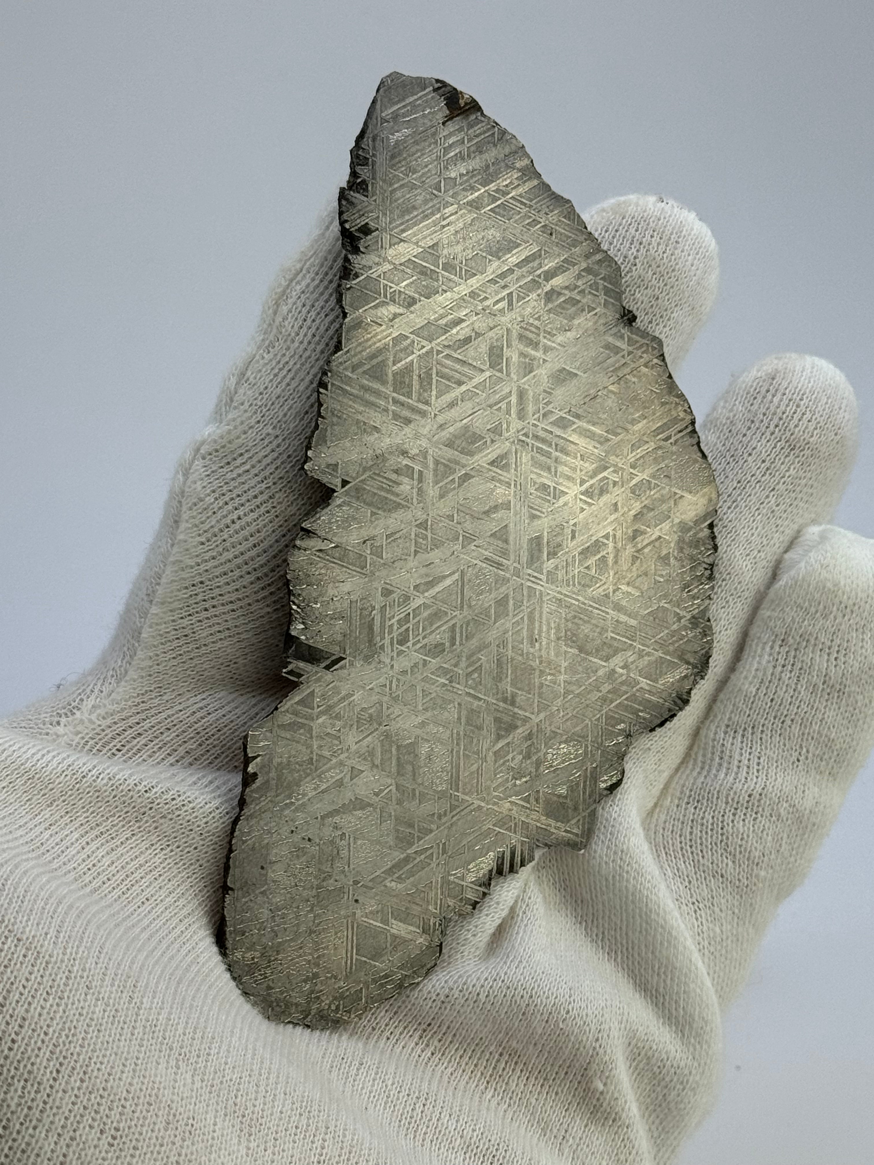 Muonionalusta meteorite, Sweden. 82,8 grams.