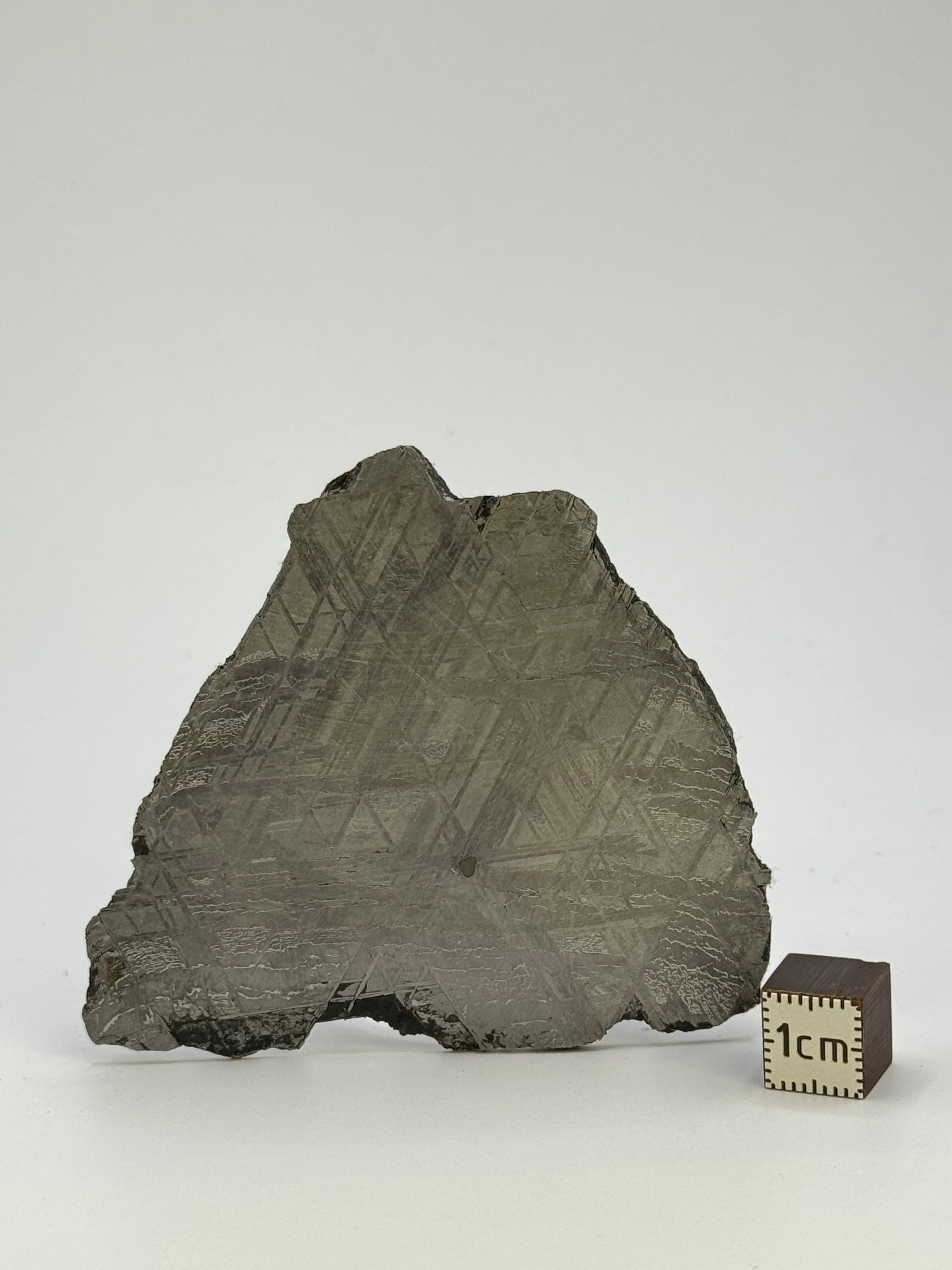 Muonionalusta meteorite, Sweden. 59,92 grams.
