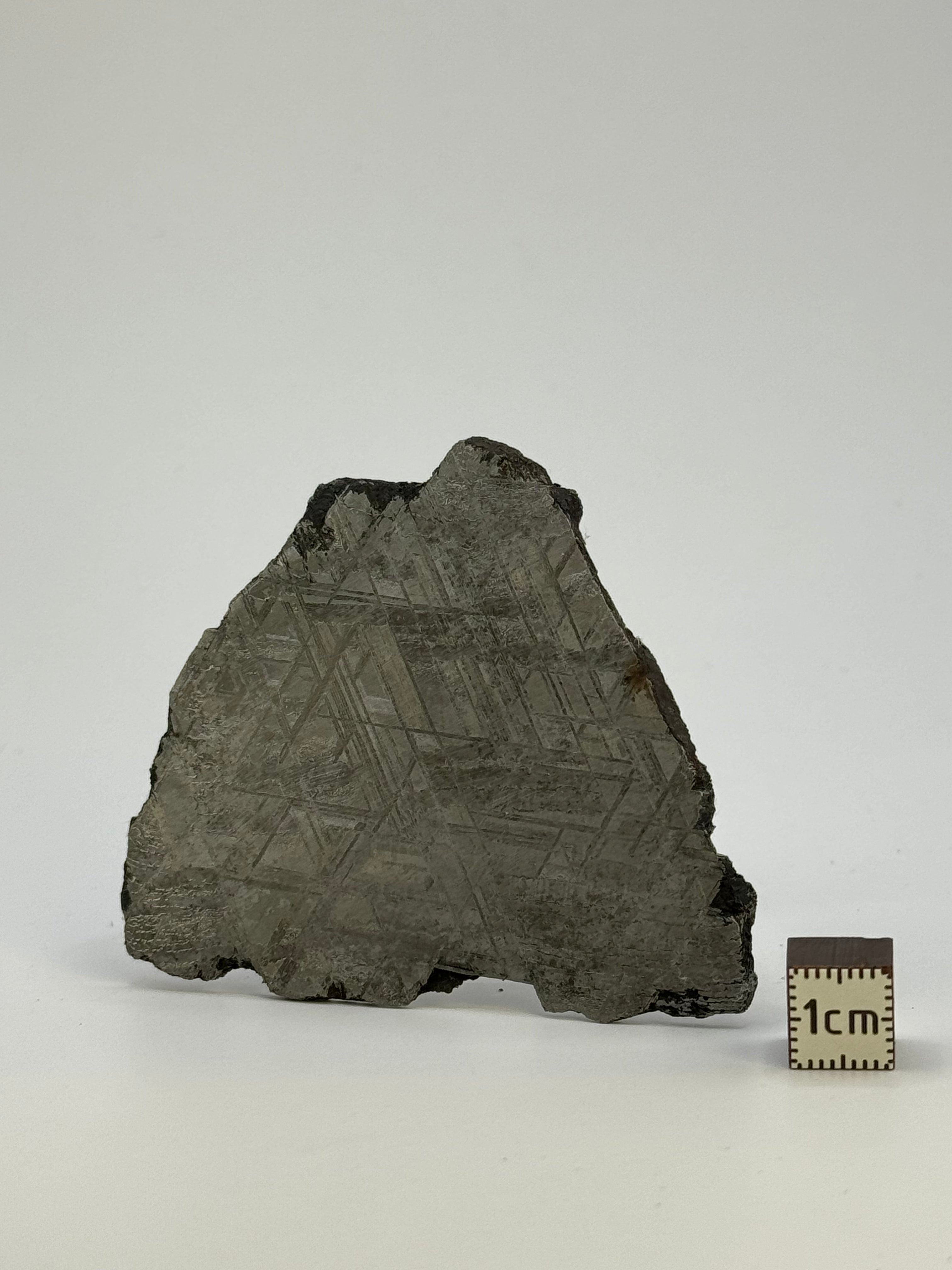 Muonionalusta meteorite, Sweden. 59,92 grams.