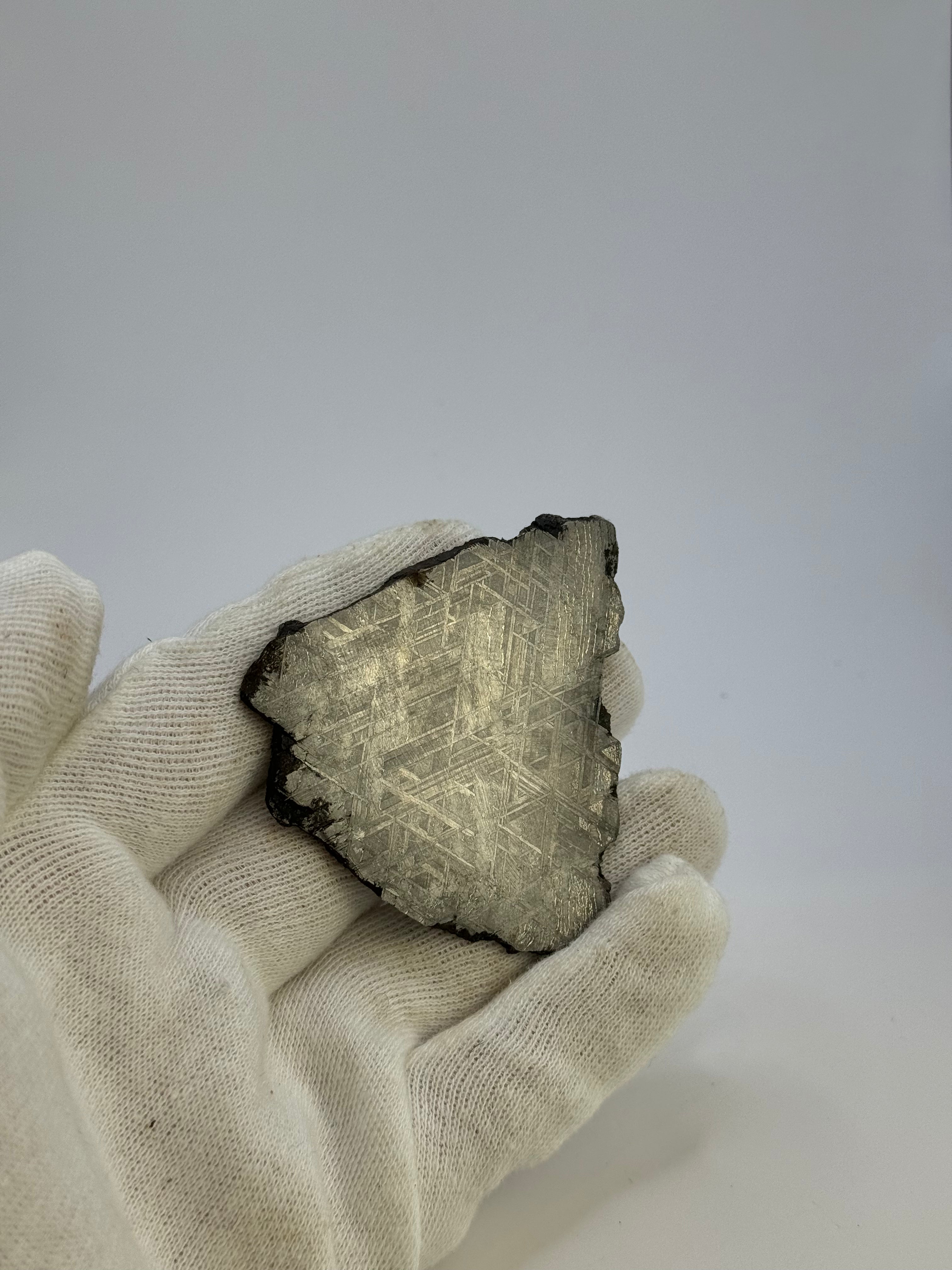 Muonionalusta meteorite, Sweden. 59,92 grams.