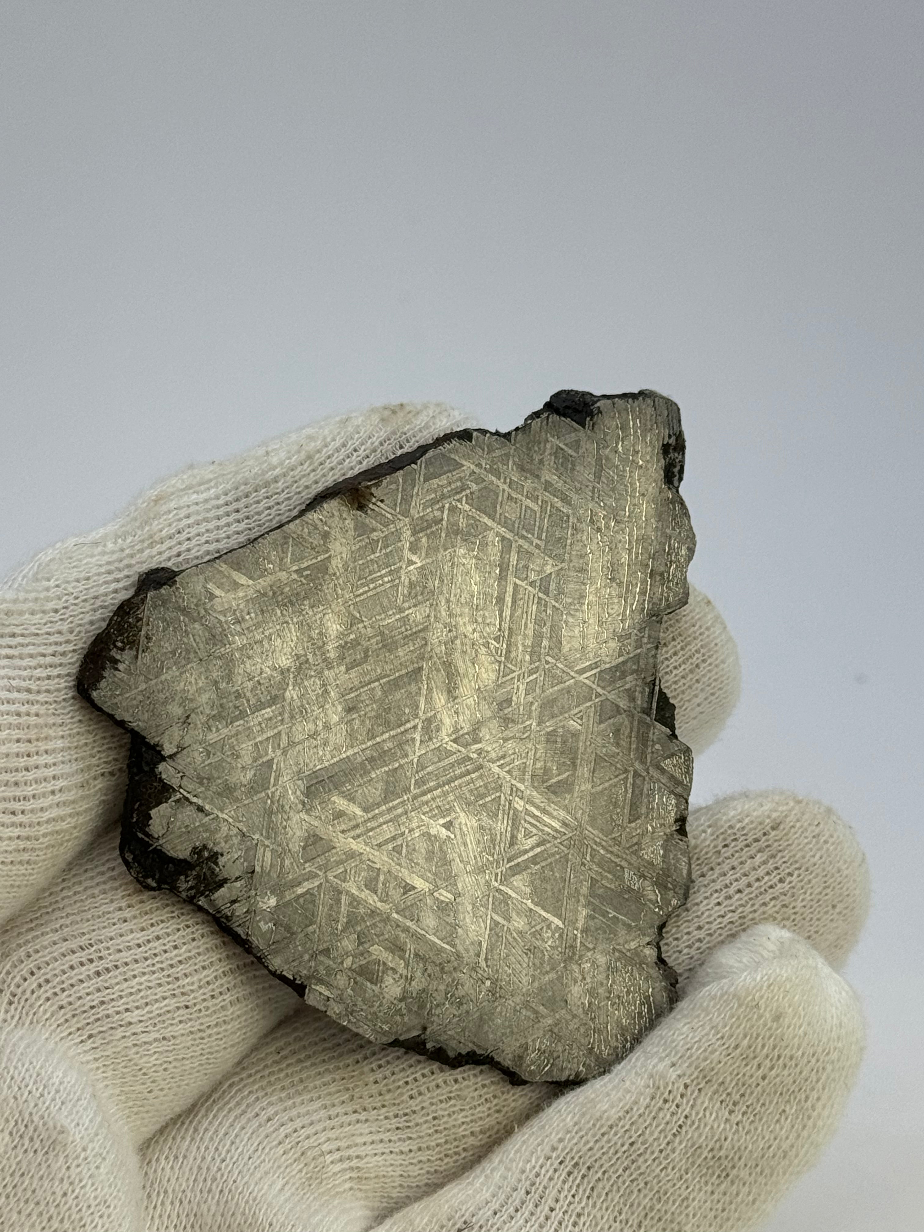 Muonionalusta meteorite, Sweden. 59,92 grams.
