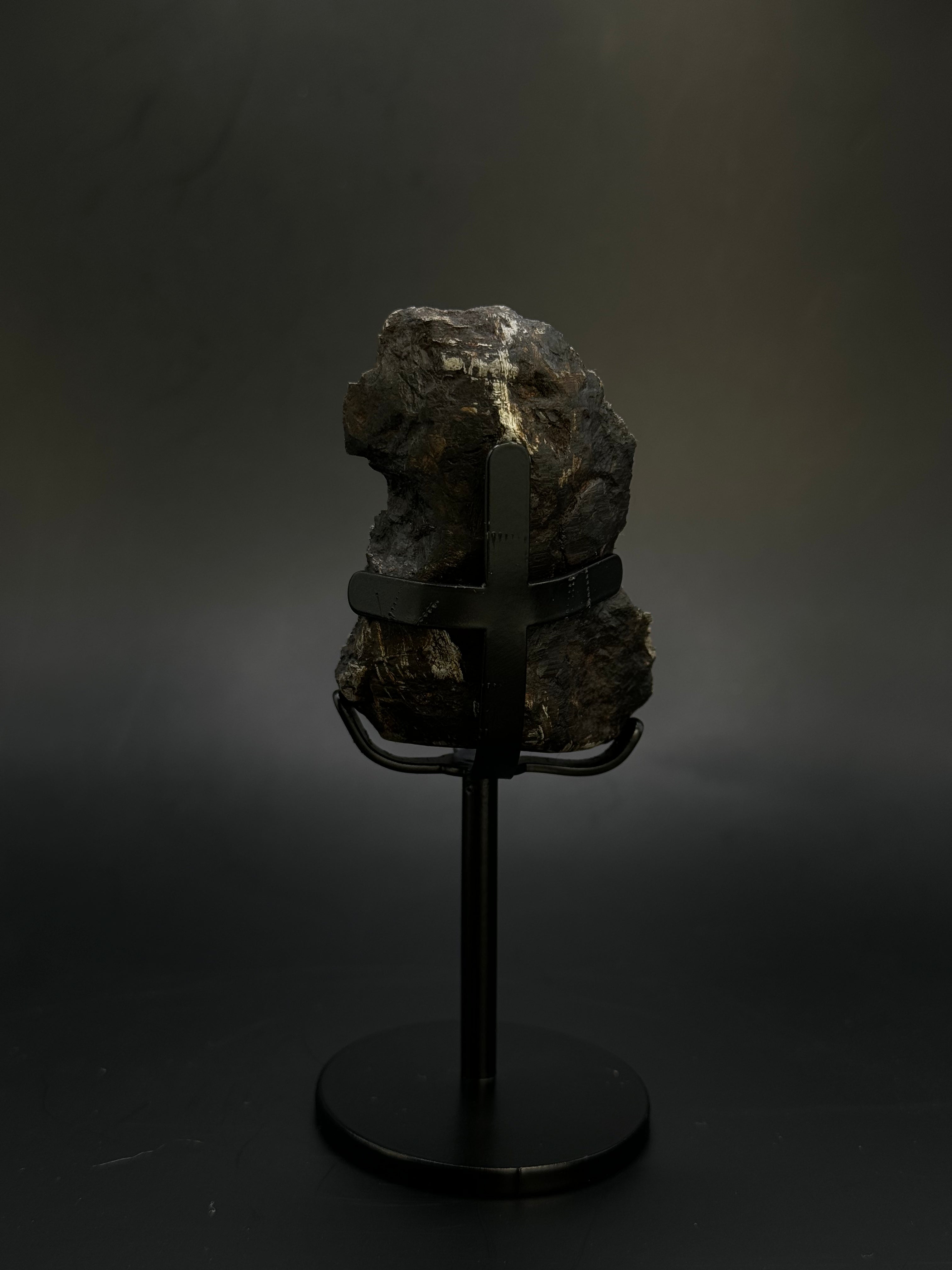 Muonionalusta meteorite, Sweden. 153,8 grams End-cut