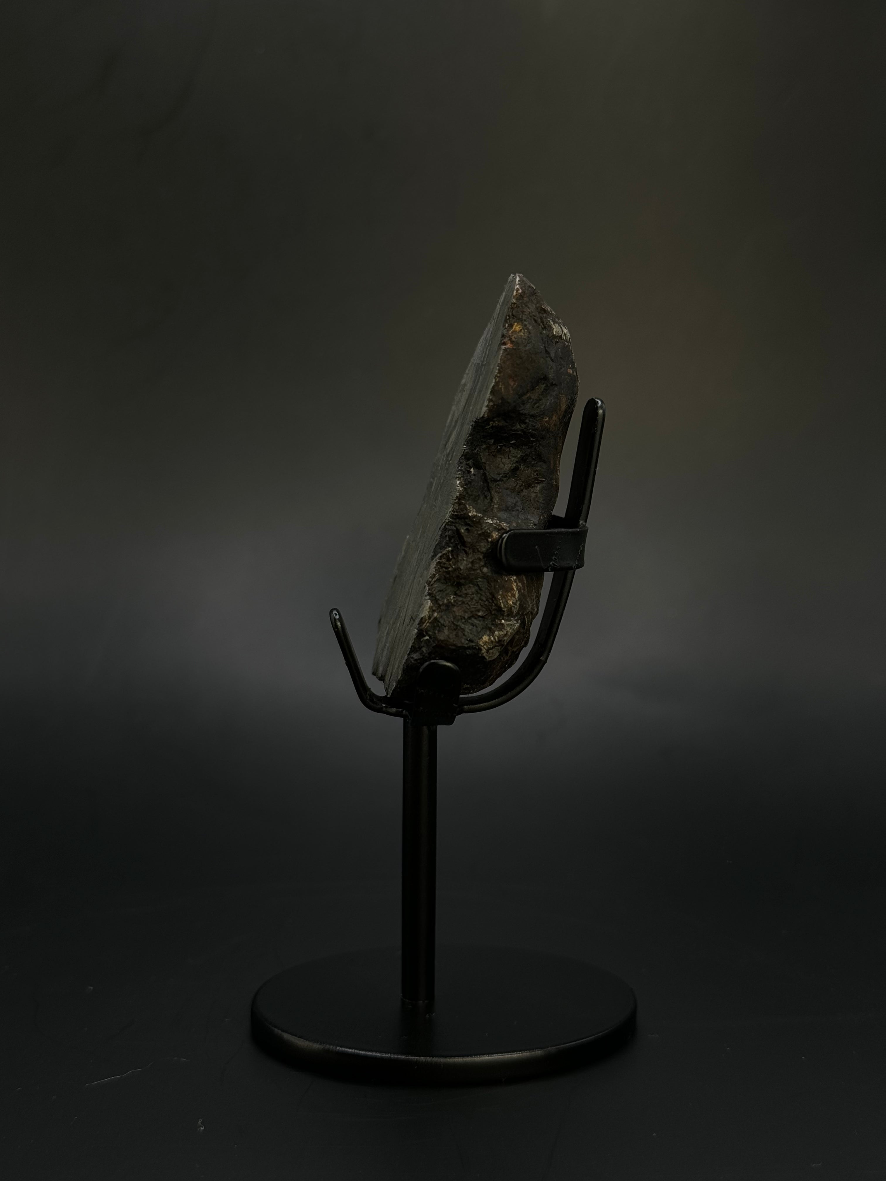 Muonionalusta meteorite, Sweden. 153,8 grams End-cut