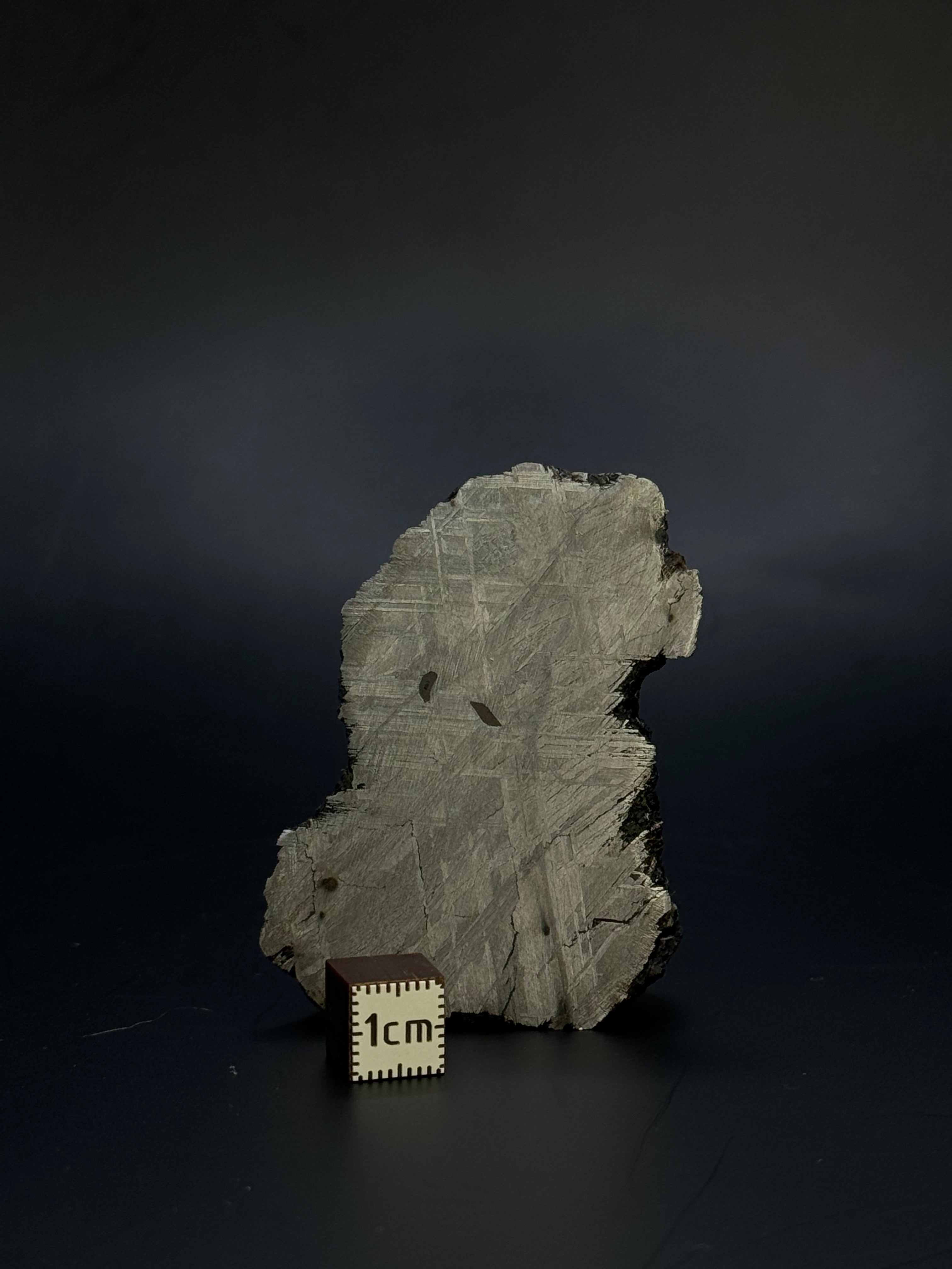 Muonionalusta meteorite, Sweden. 153,8 grams End-cut