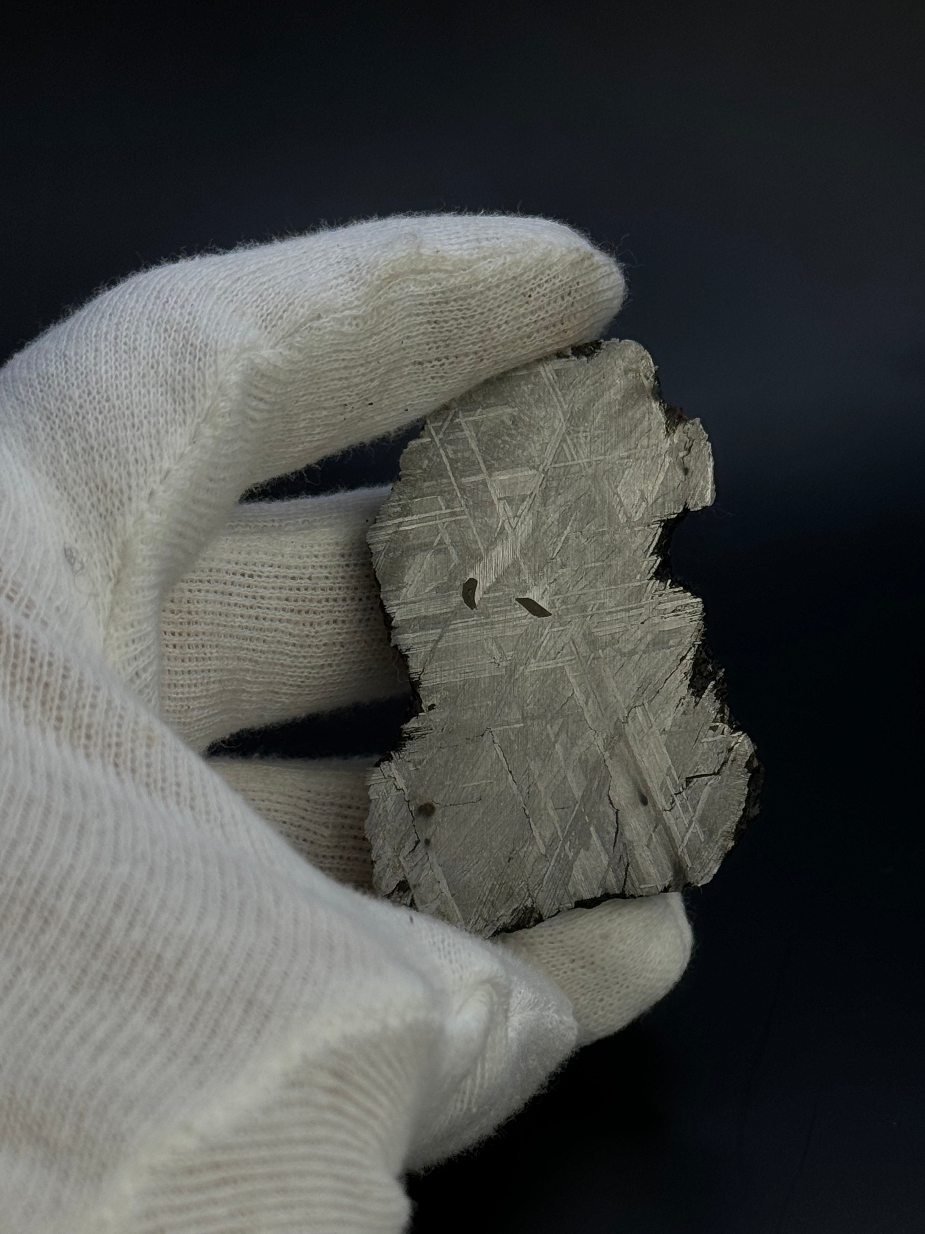 Muonionalusta meteorite, Sweden. 153,8 grams End-cut
