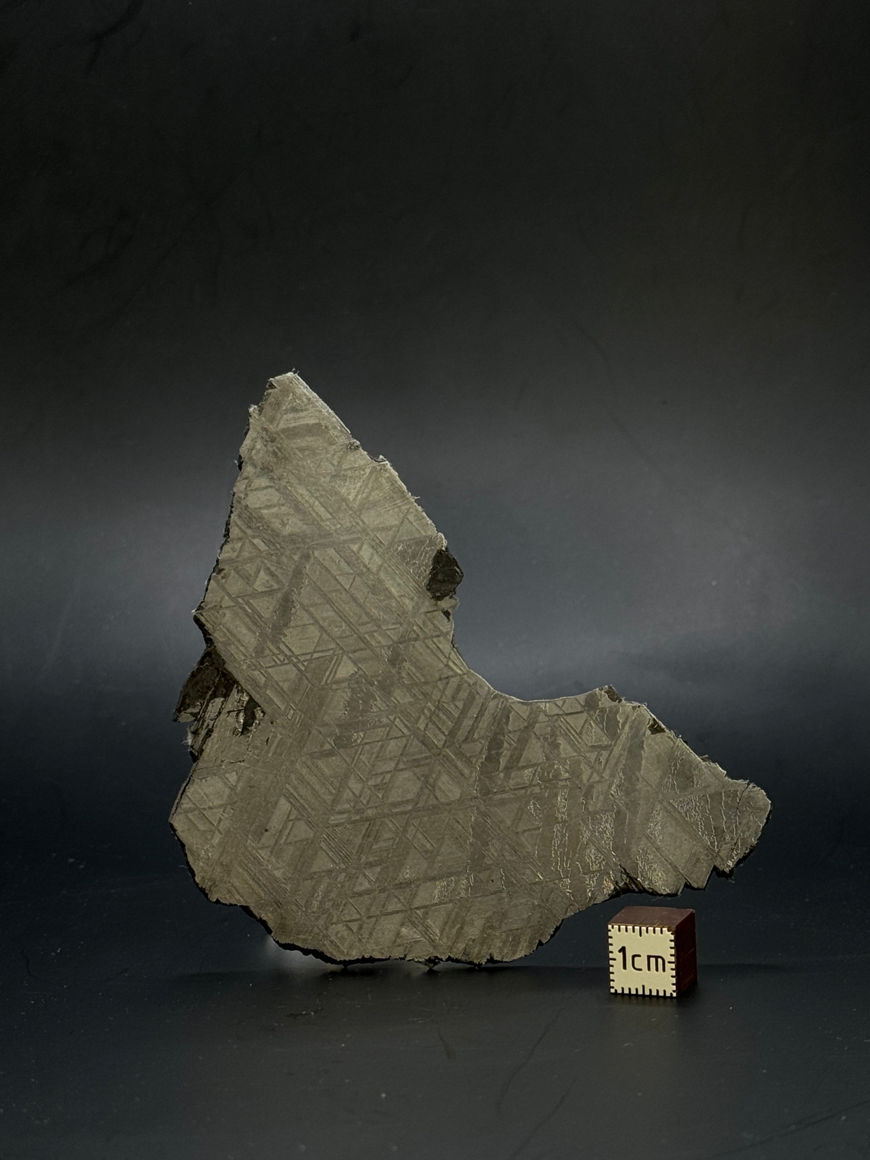 Muonionalusta meteorite, Sweden. 70,78 grams.