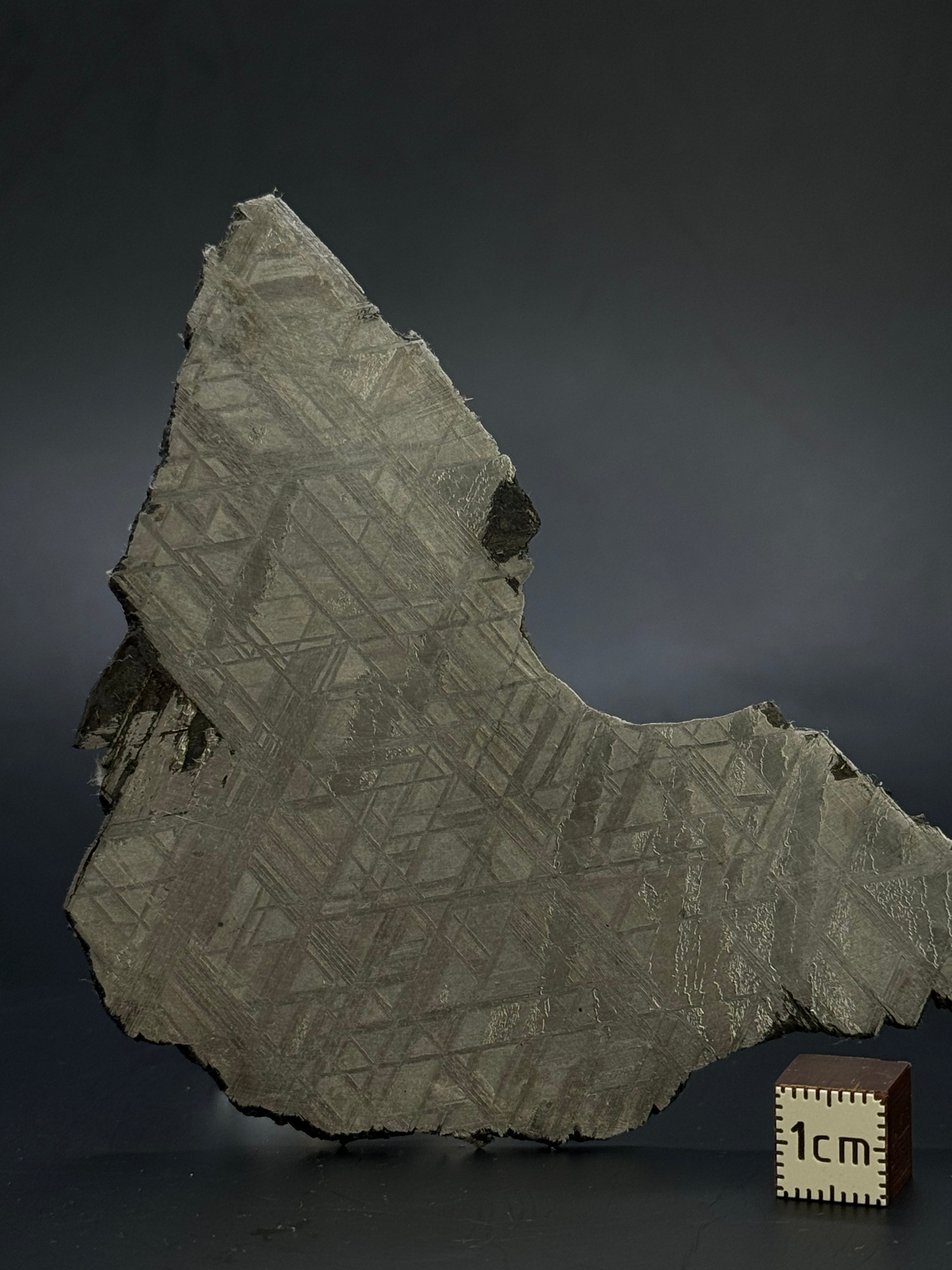 Muonionalusta meteorite, Sweden. 70,78 grams.