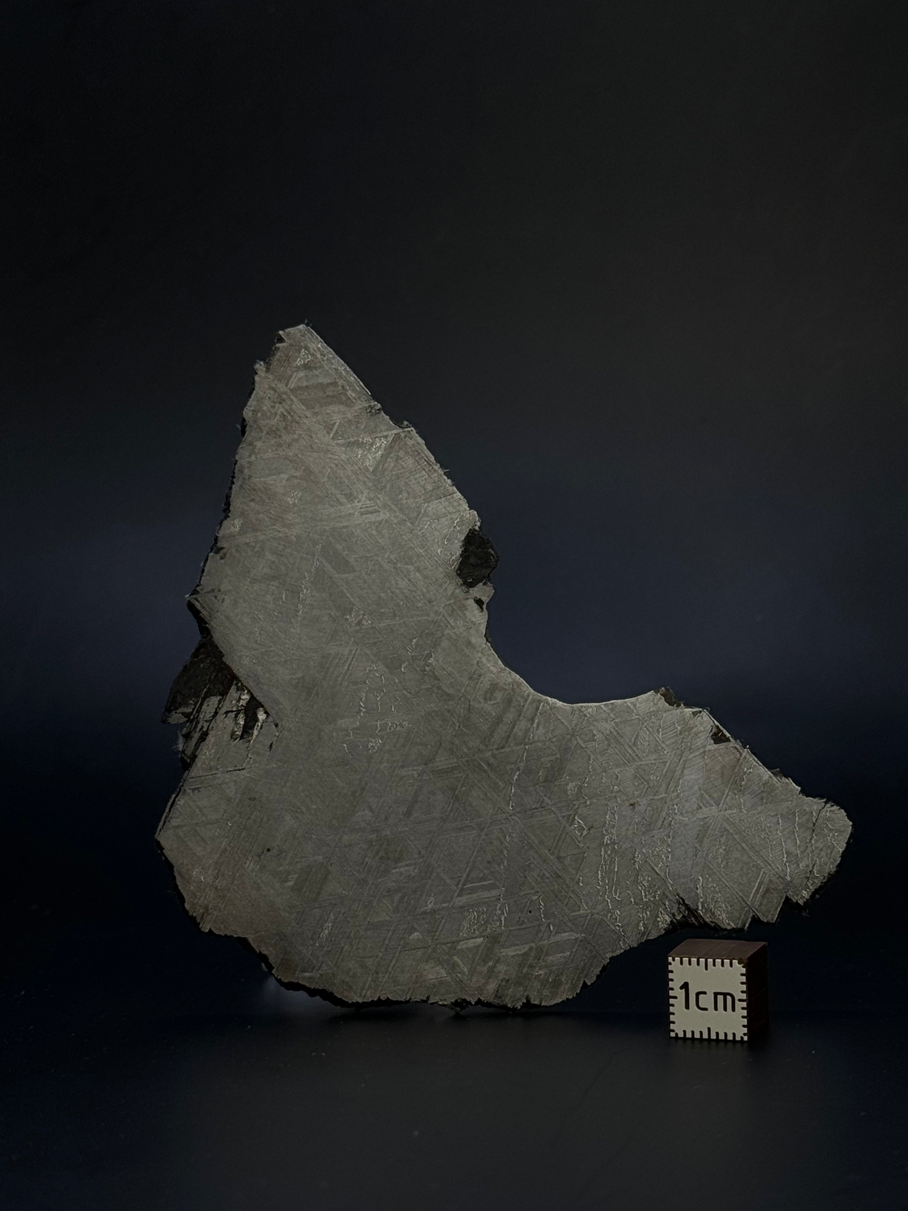 Muonionalusta meteorite, Sweden. 70,78 grams.
