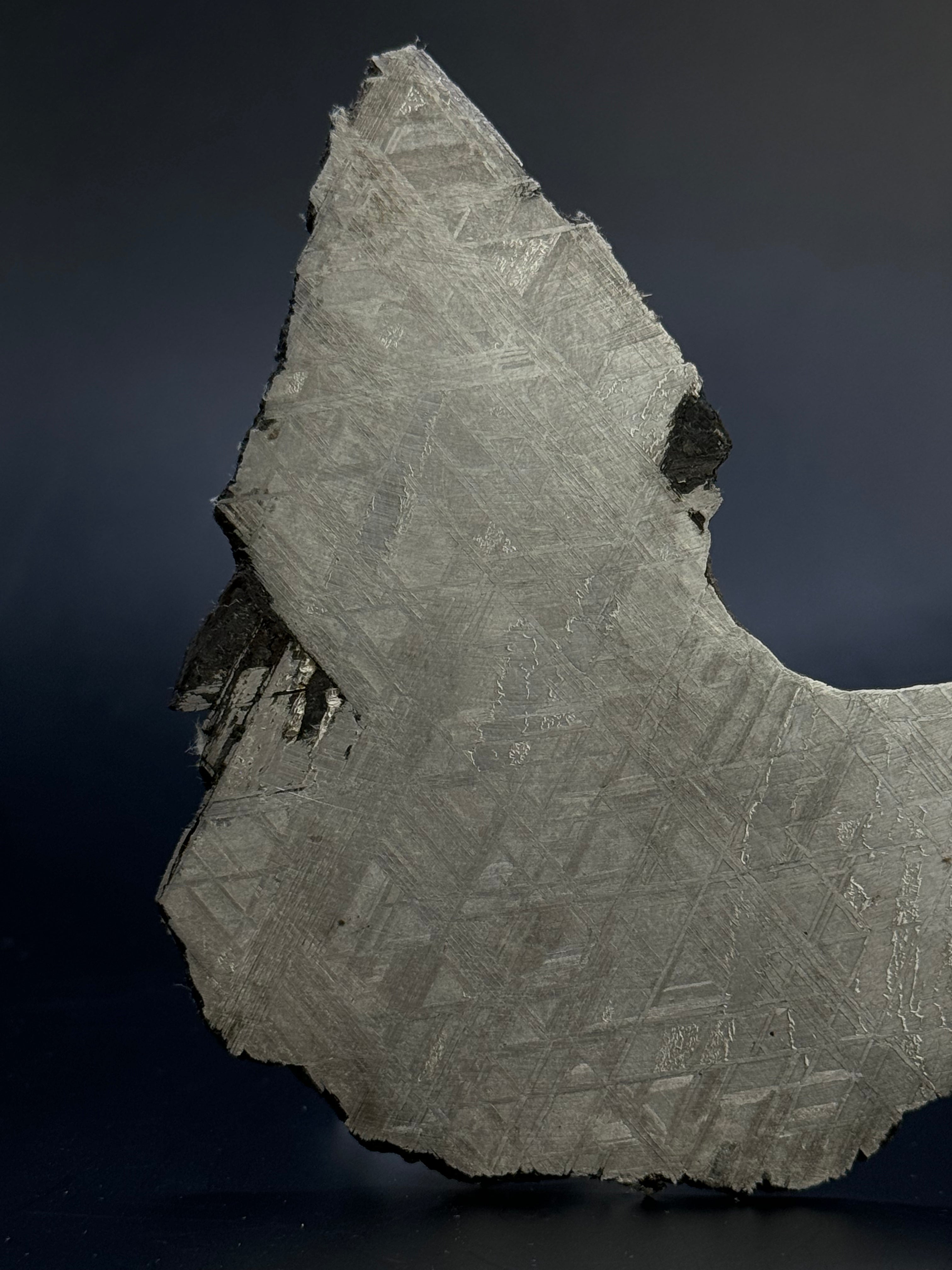 Muonionalusta meteorite, Sweden. 70,78 grams.