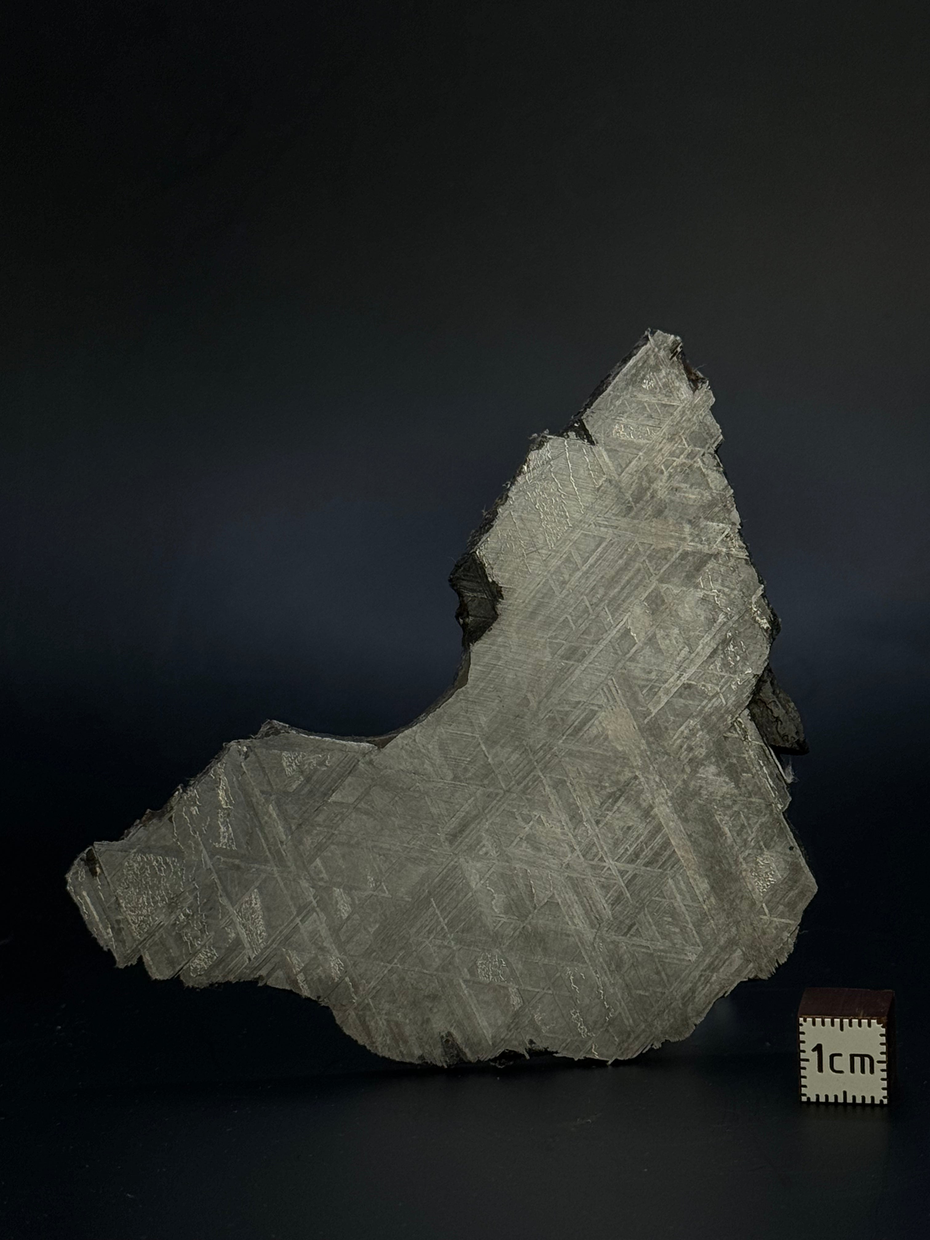 Muonionalusta meteorite, Sweden. 70,78 grams.