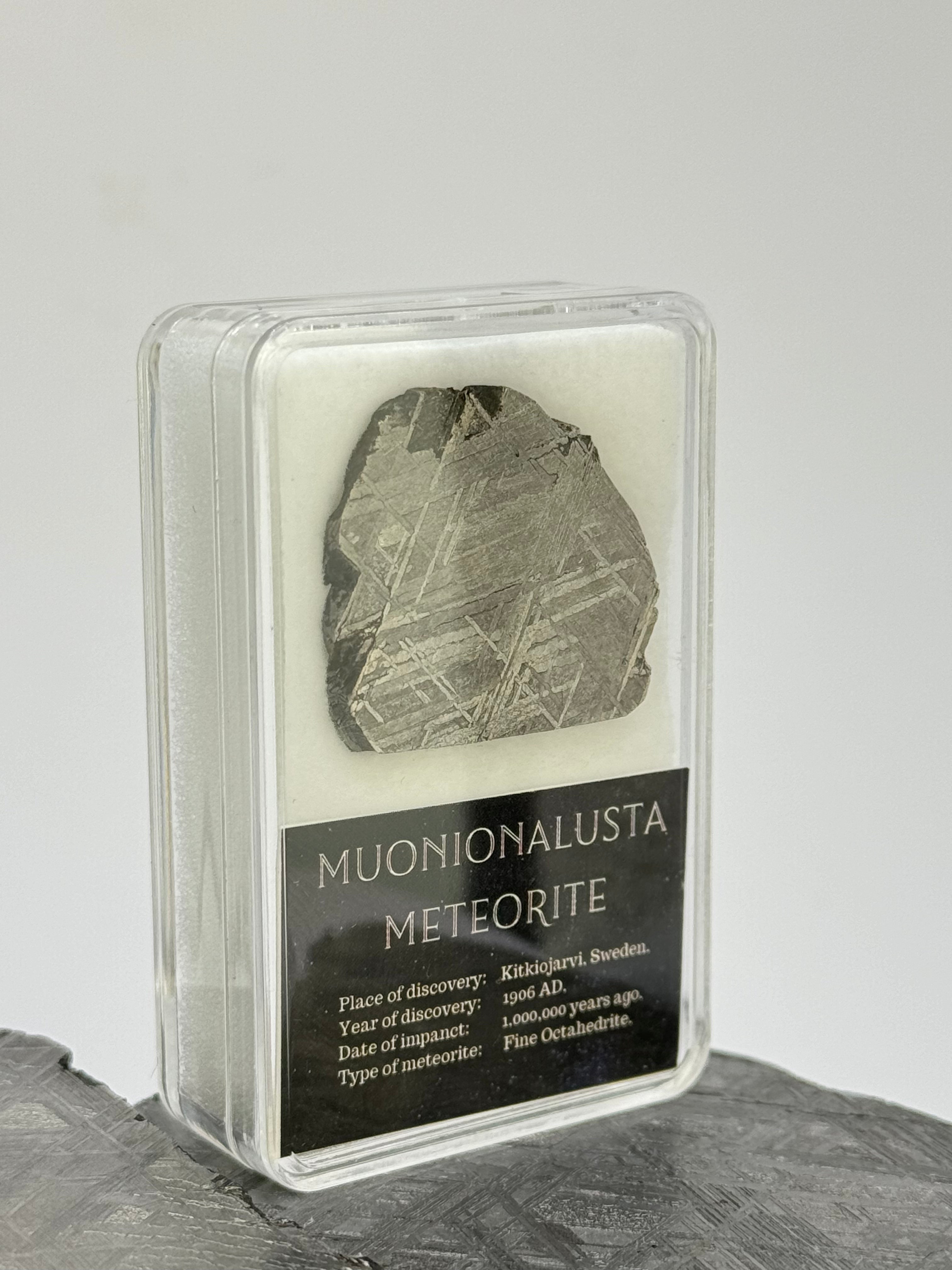 Muonionalusta meteorite in display box. 8,3 grams.