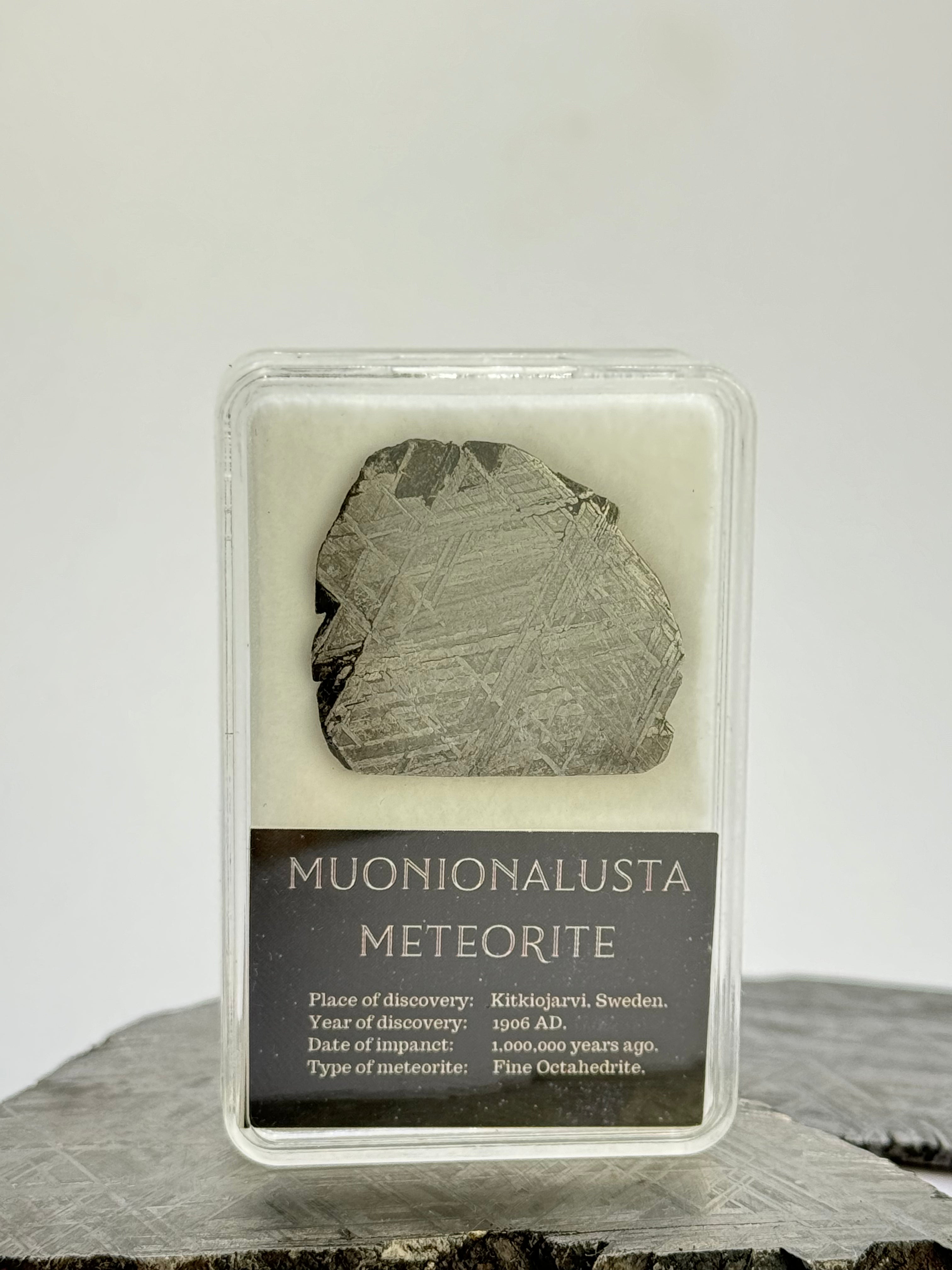Muonionalusta meteorite in display box. 8,3 grams.