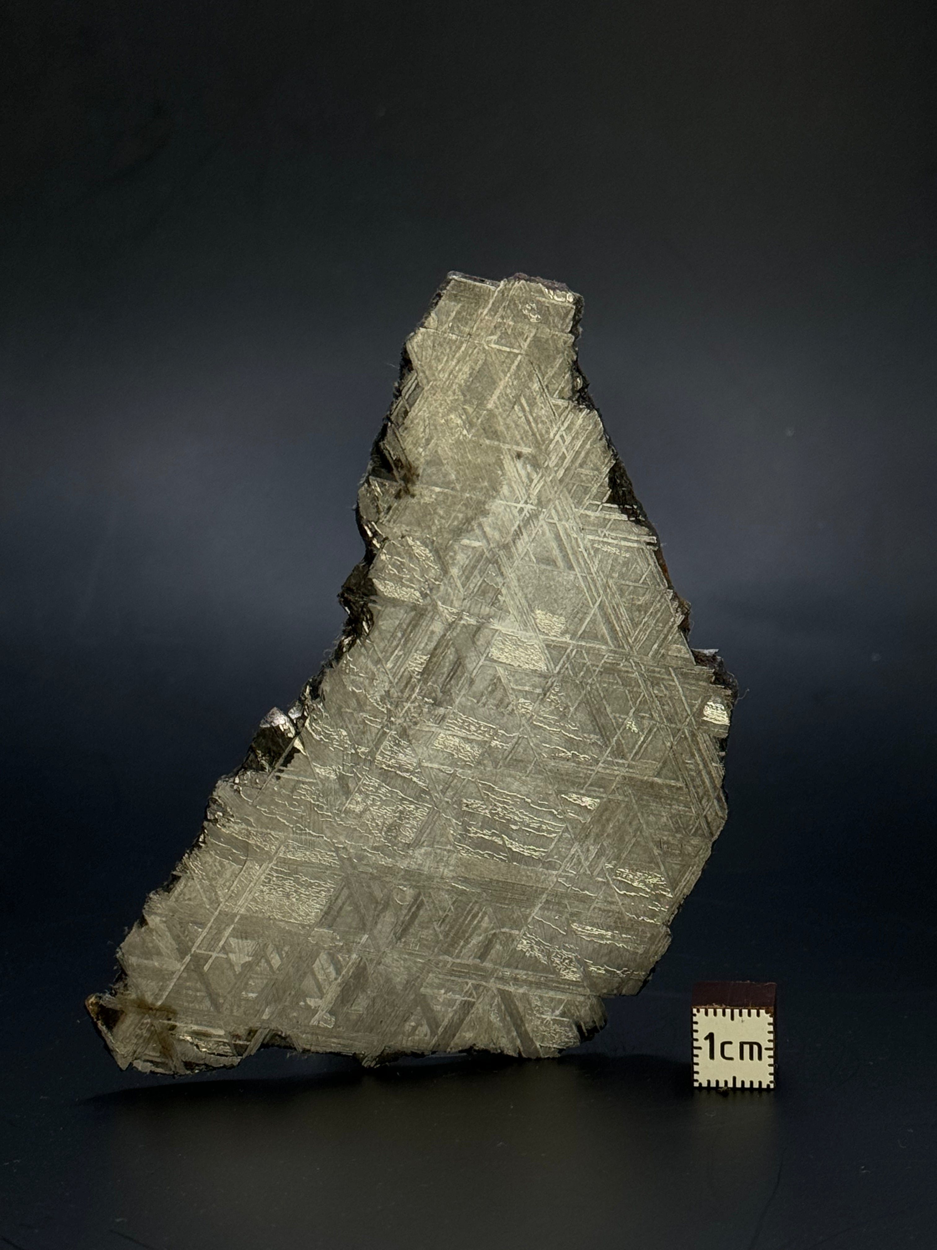 Muonionalusta meteorite, Sweden. 102,58 grams.