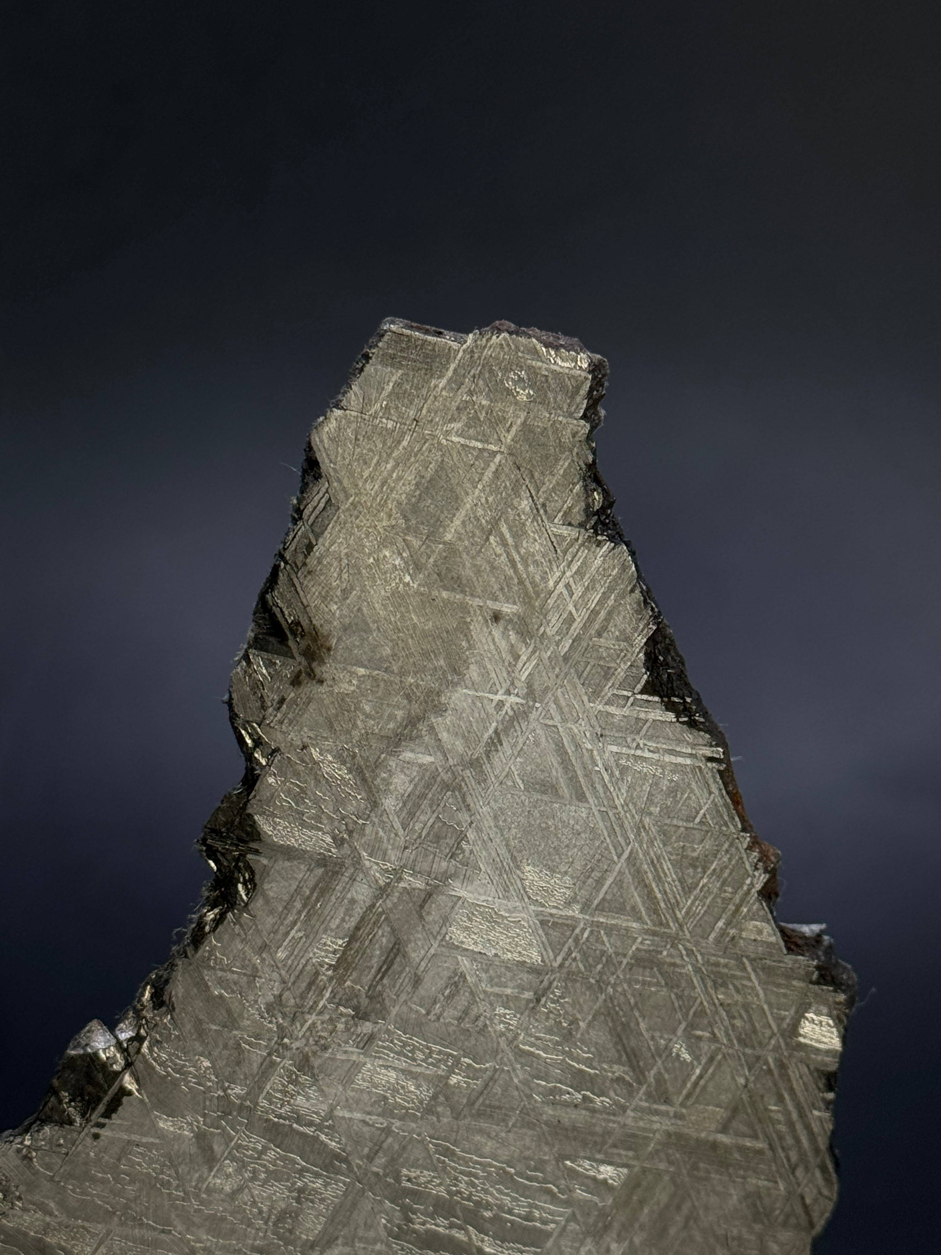 Muonionalusta meteorite, Sweden. 102,58 grams.