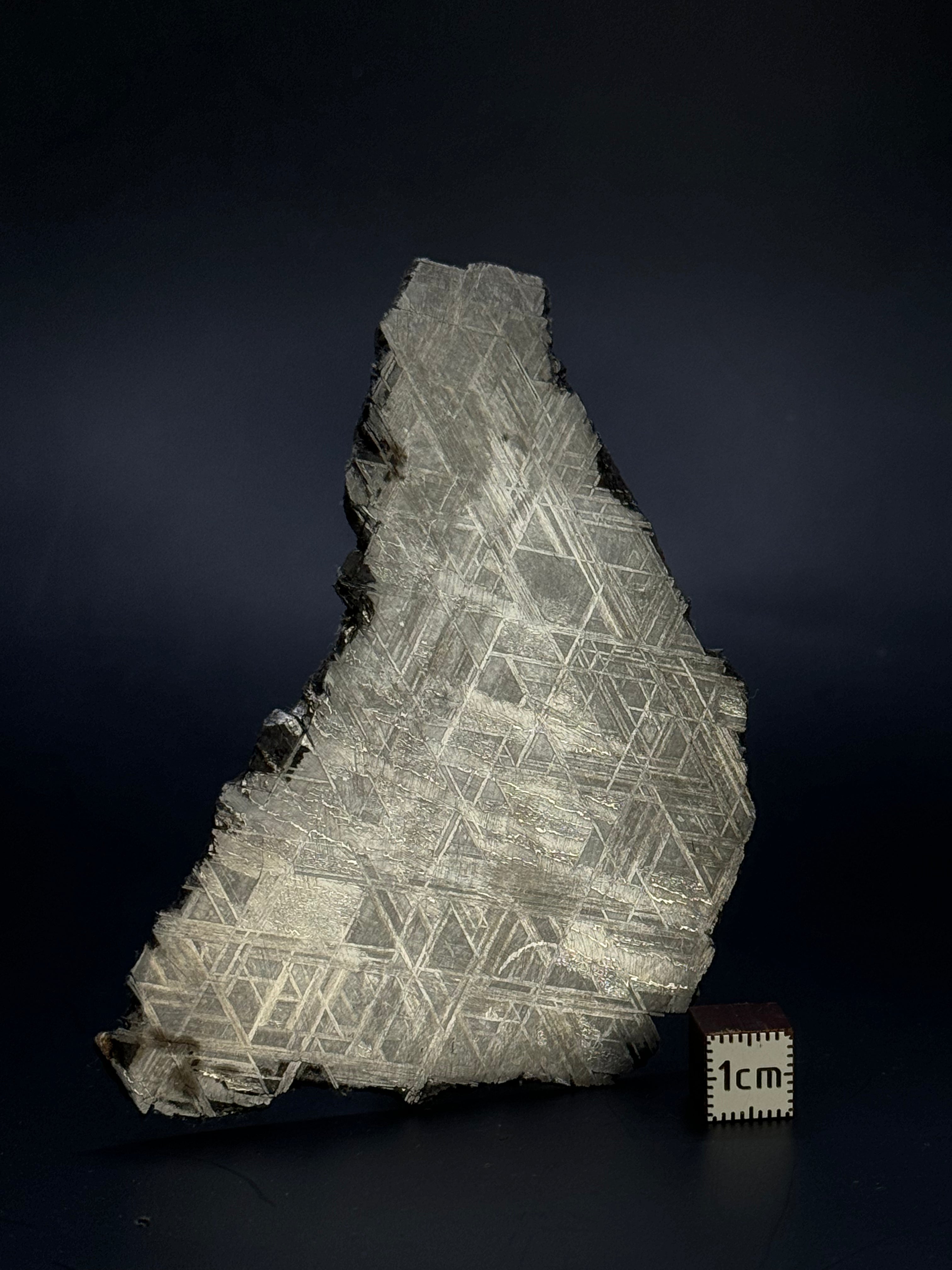 Muonionalusta meteorite, Sweden. 102,58 grams.
