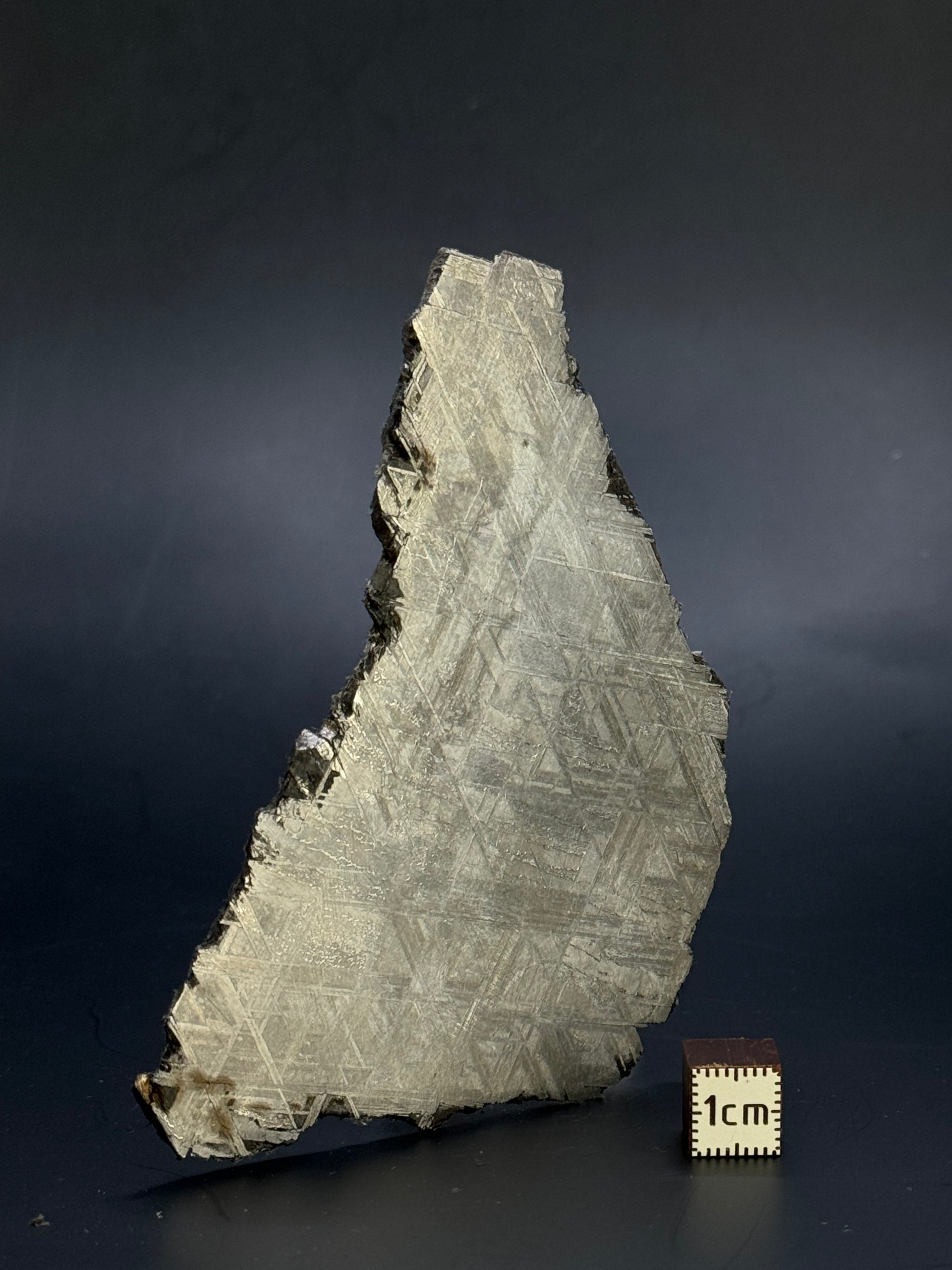 Muonionalusta meteorite, Sweden. 102,58 grams.