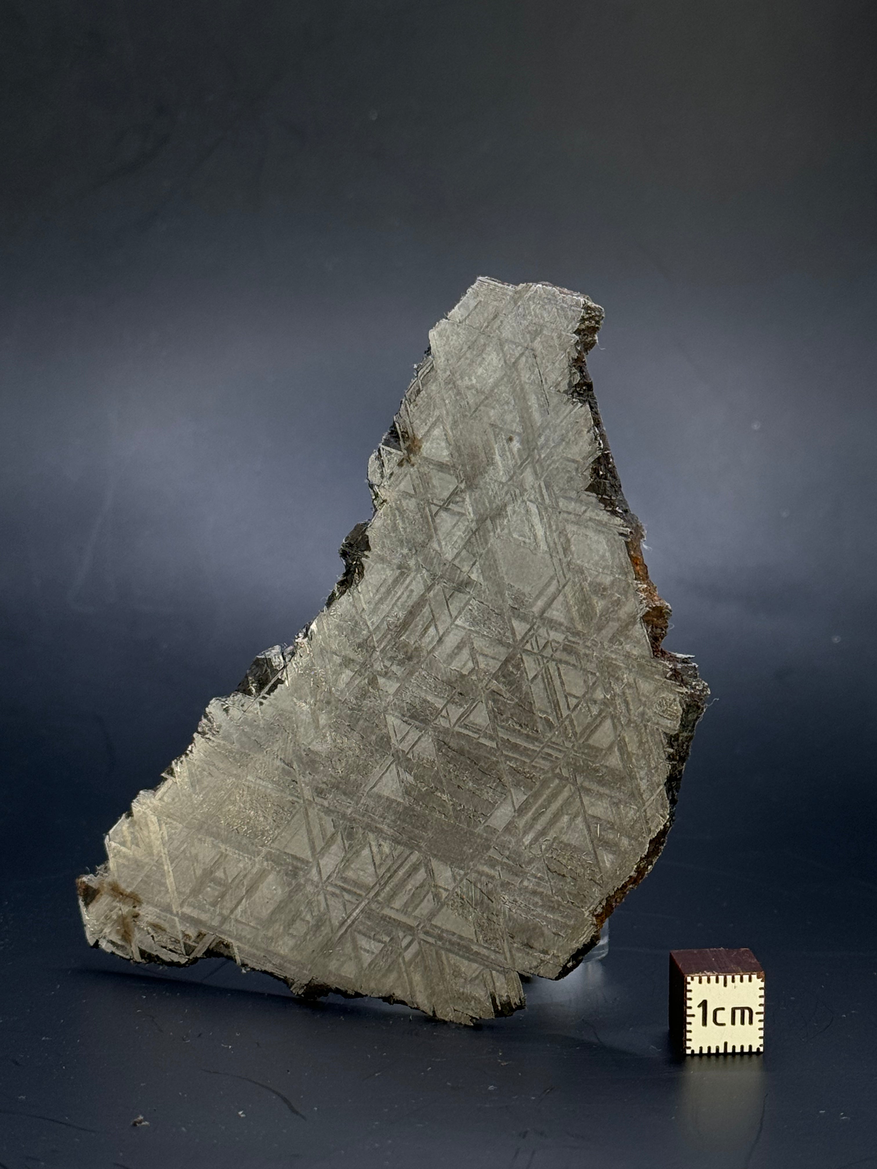 Muonionalusta meteorite, Sweden. 102,58 grams.
