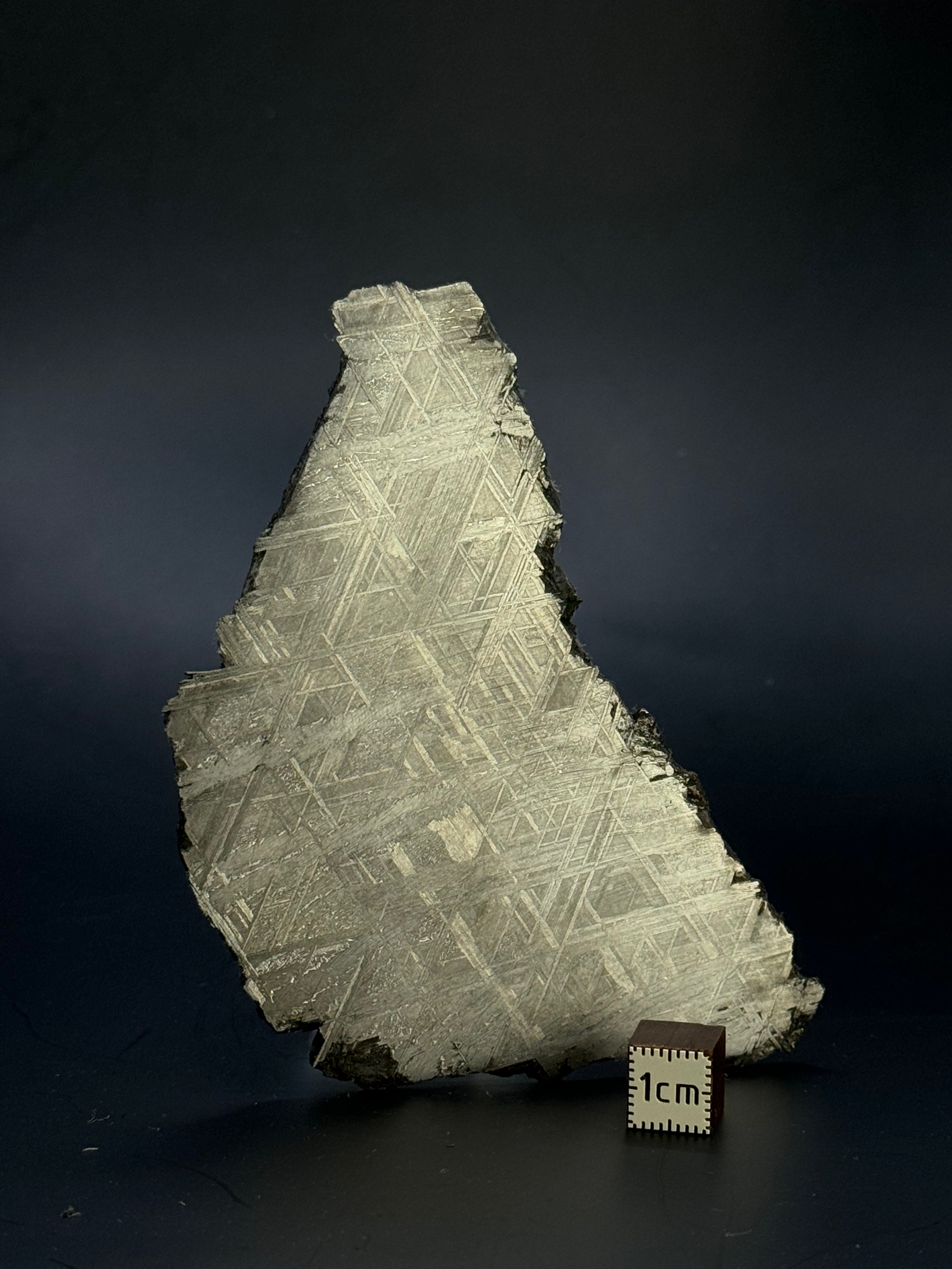 Muonionalusta meteorite, Sweden. 102,58 grams.