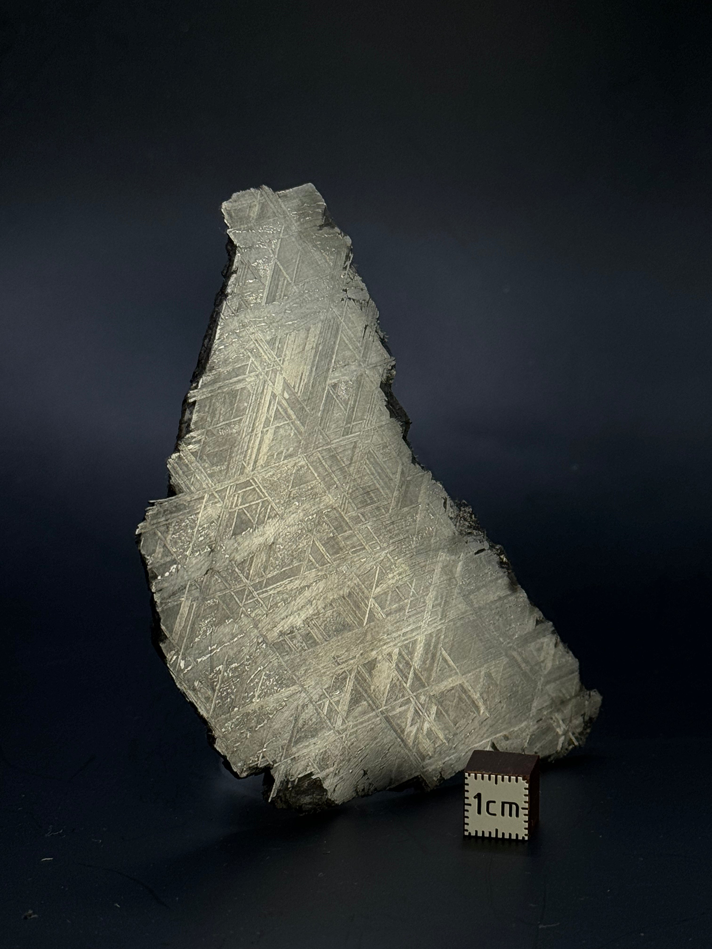 Muonionalusta meteorite, Sweden. 102,58 grams.