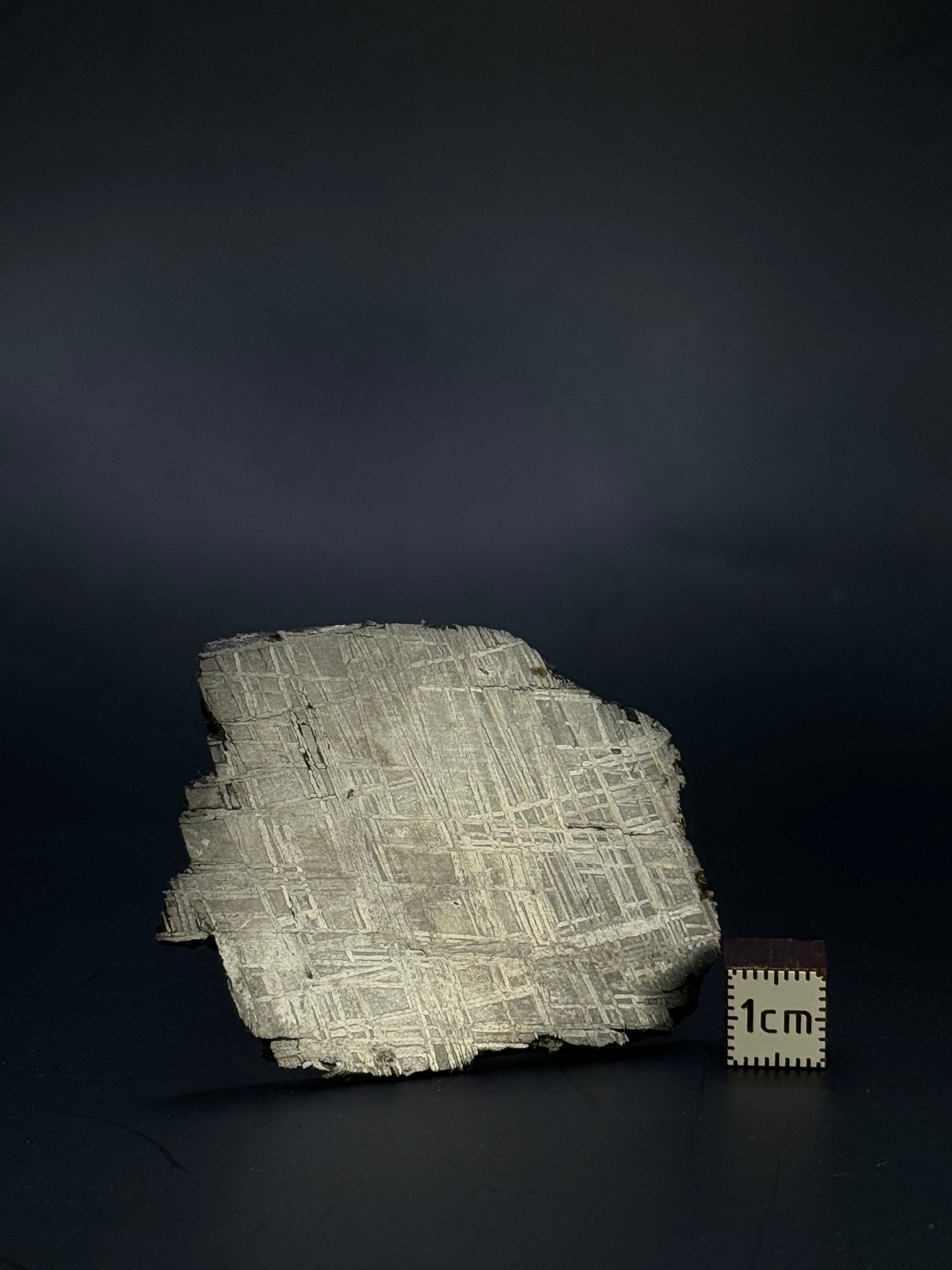 Muonionalusta meteorite, Sweden. 47,20 grams.