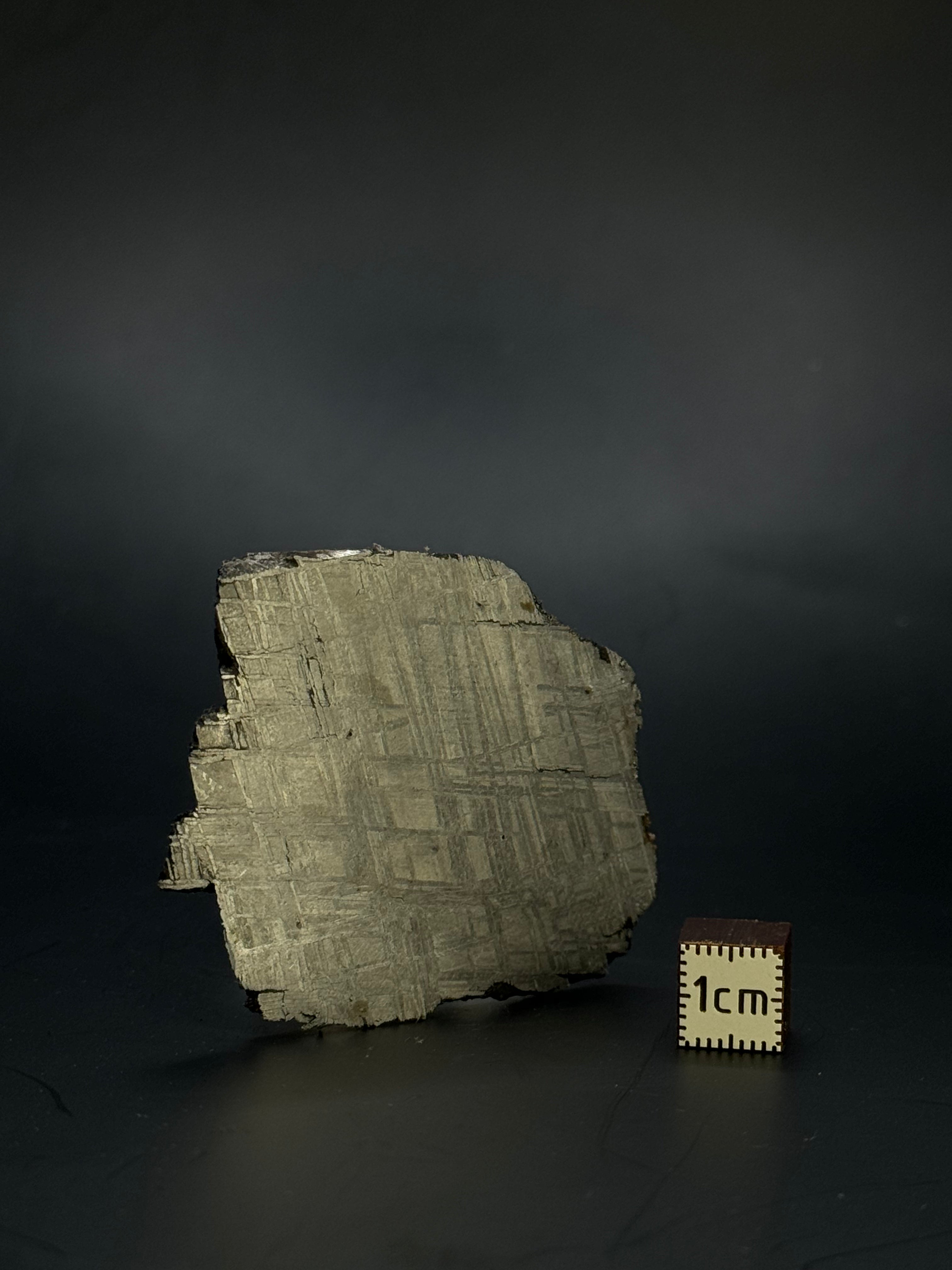 Muonionalusta meteorite, Sweden. 47,20 grams.