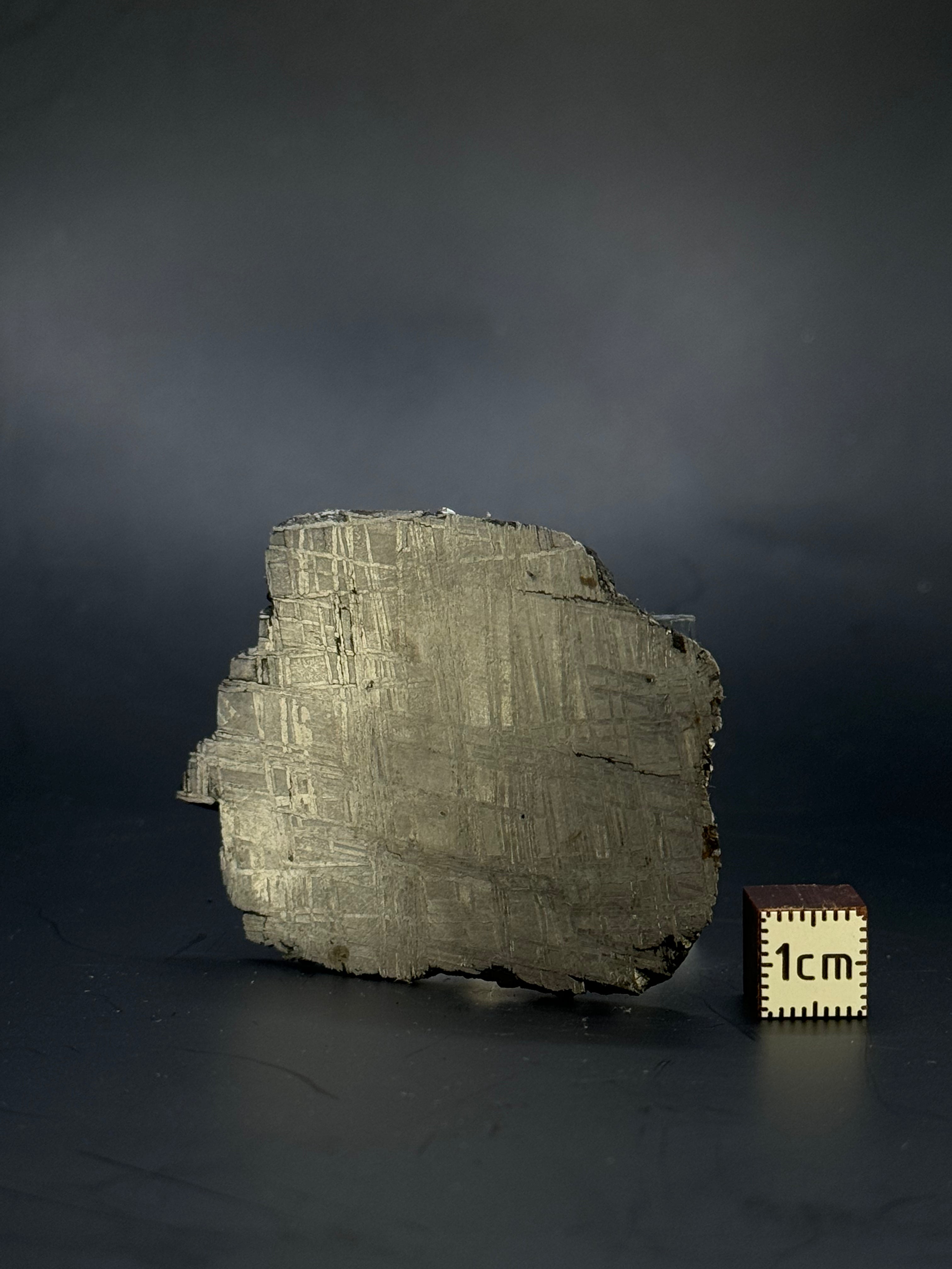 Muonionalusta meteorite, Sweden. 47,20 grams.