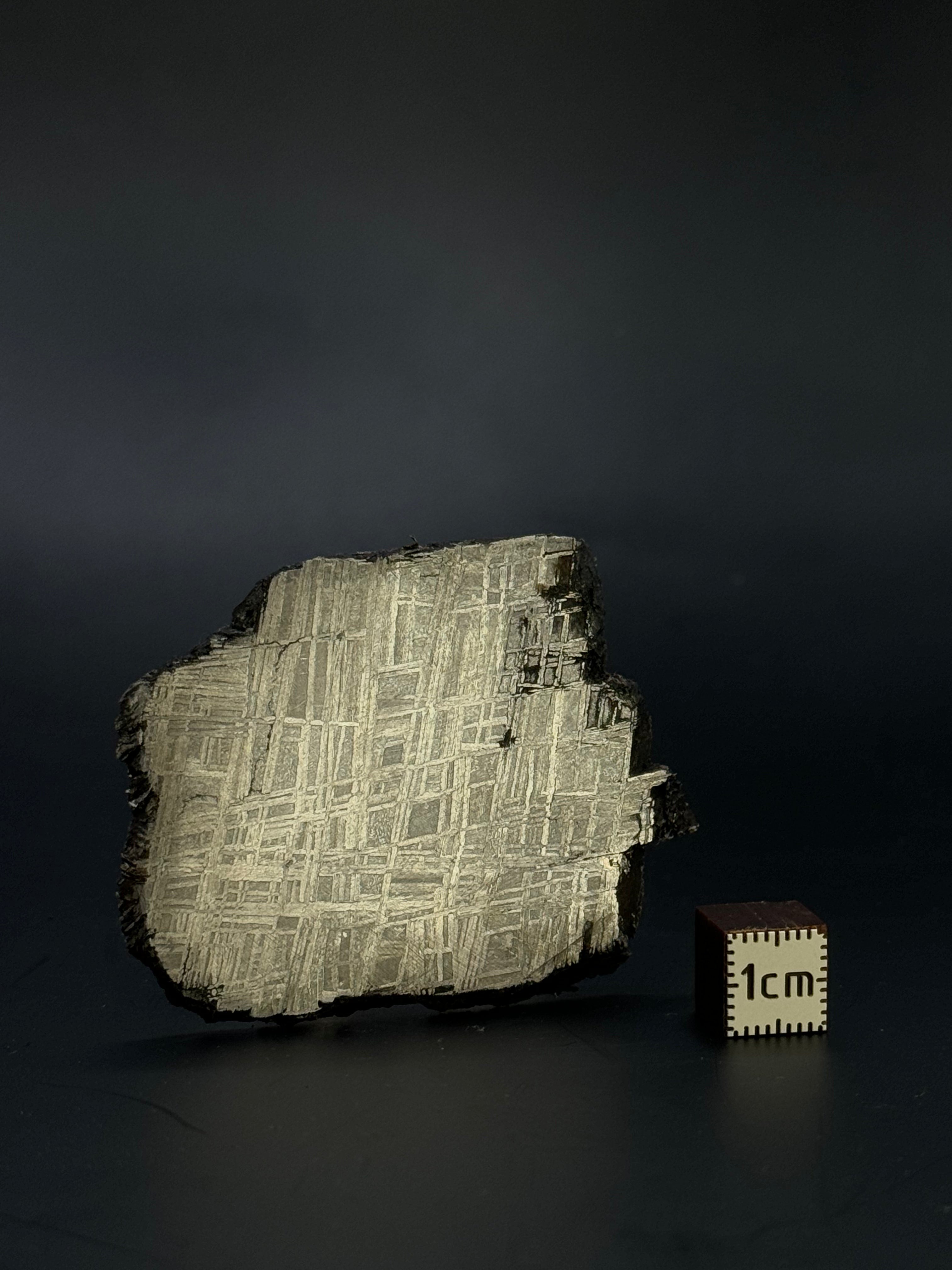 Muonionalusta meteorite, Sweden. 47,20 grams.