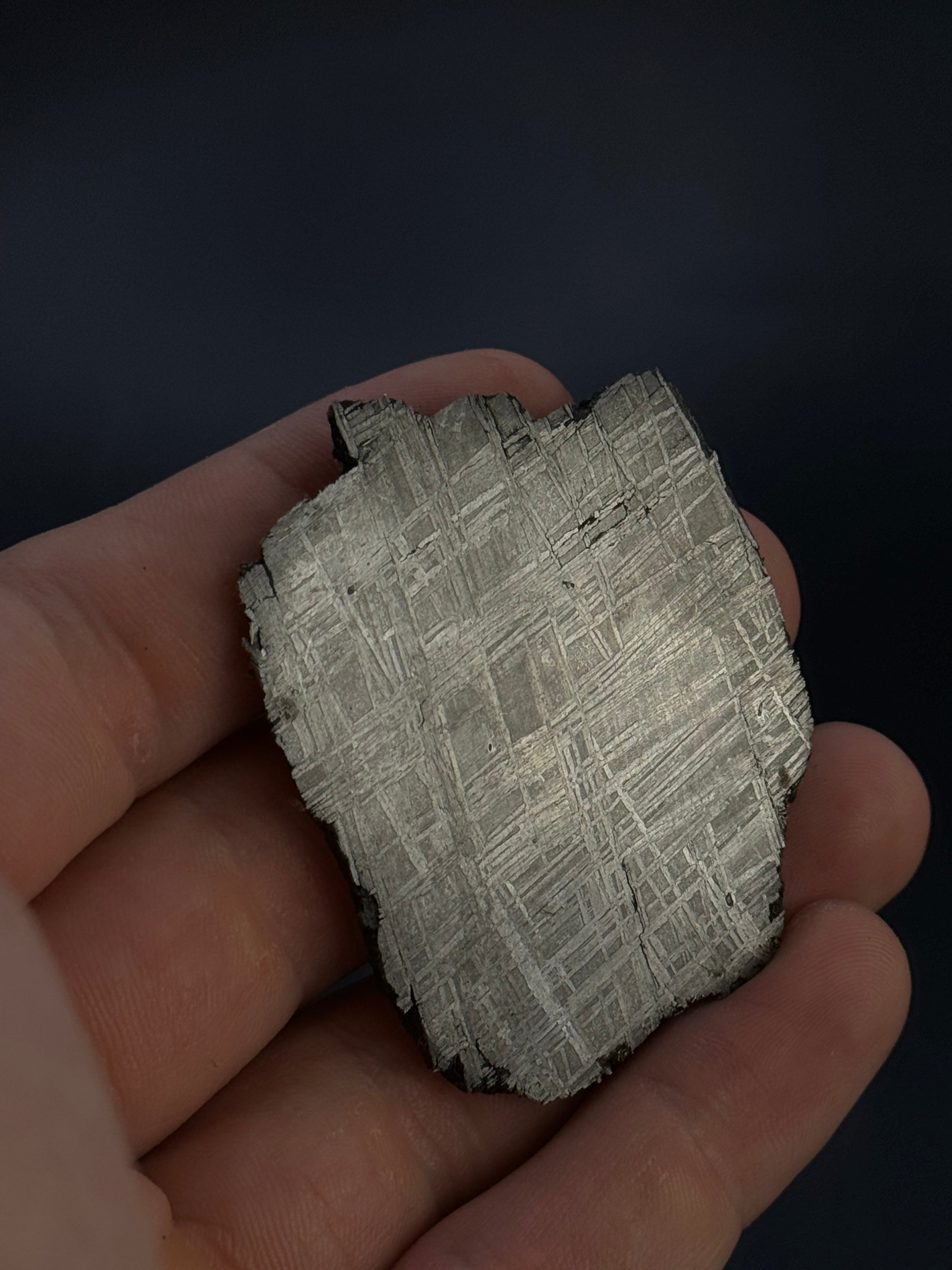 Muonionalusta meteorite, Sweden. 47,20 grams.