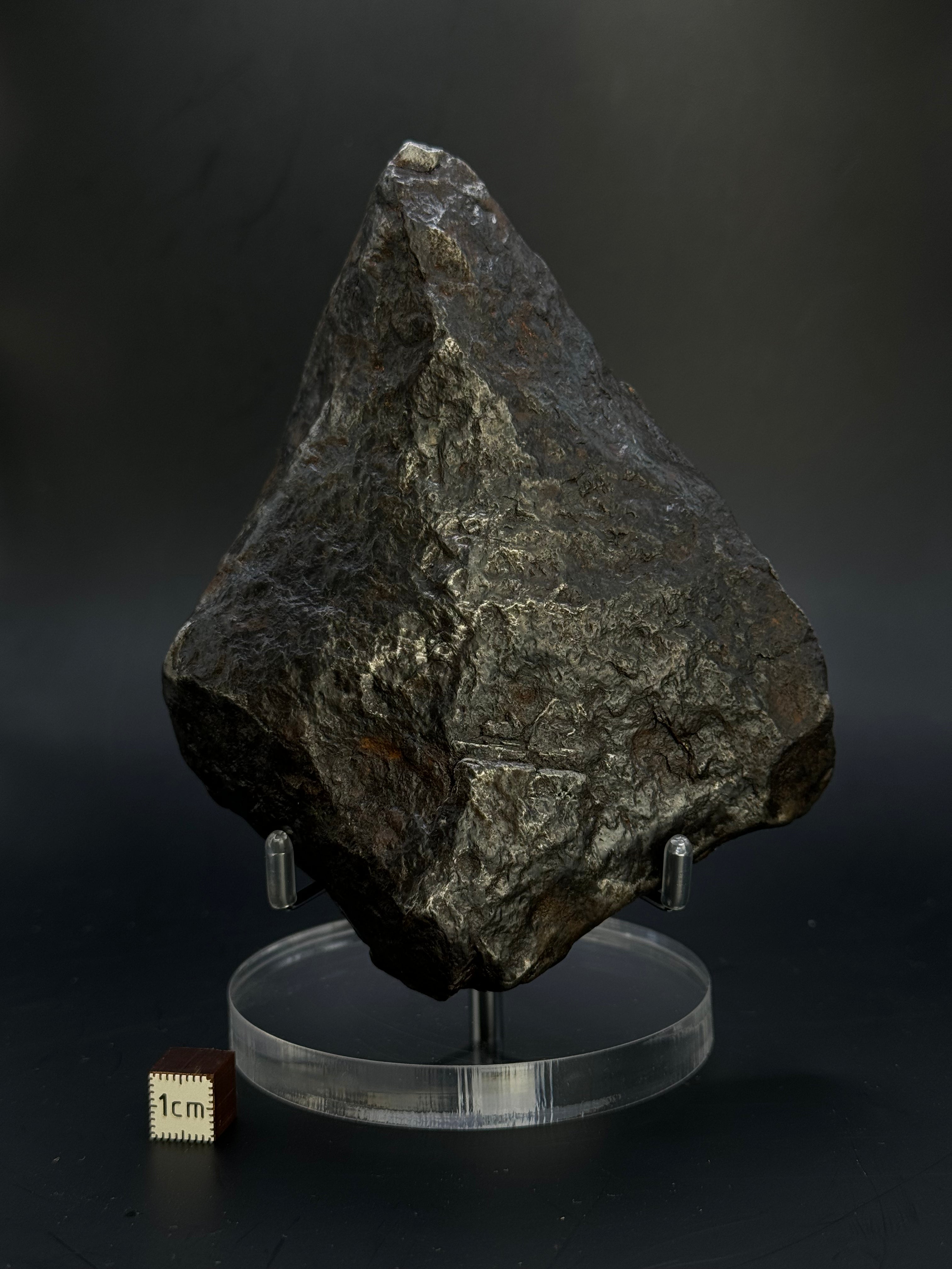 Muonionalusta Meteorite, Sweden. Full meteorite, 1705 grams.