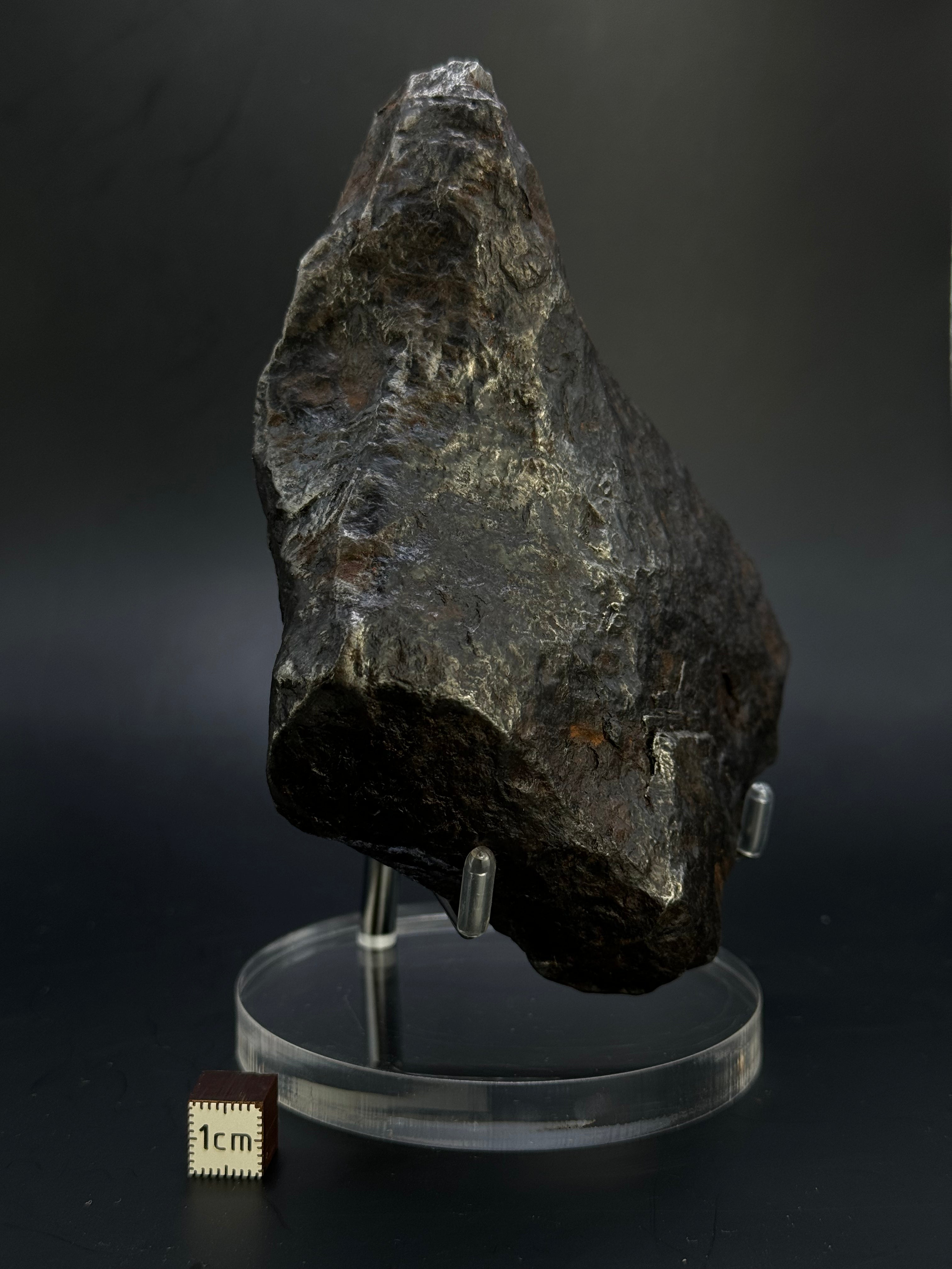 Muonionalusta Meteorite, Sweden. Full meteorite, 1705 grams.